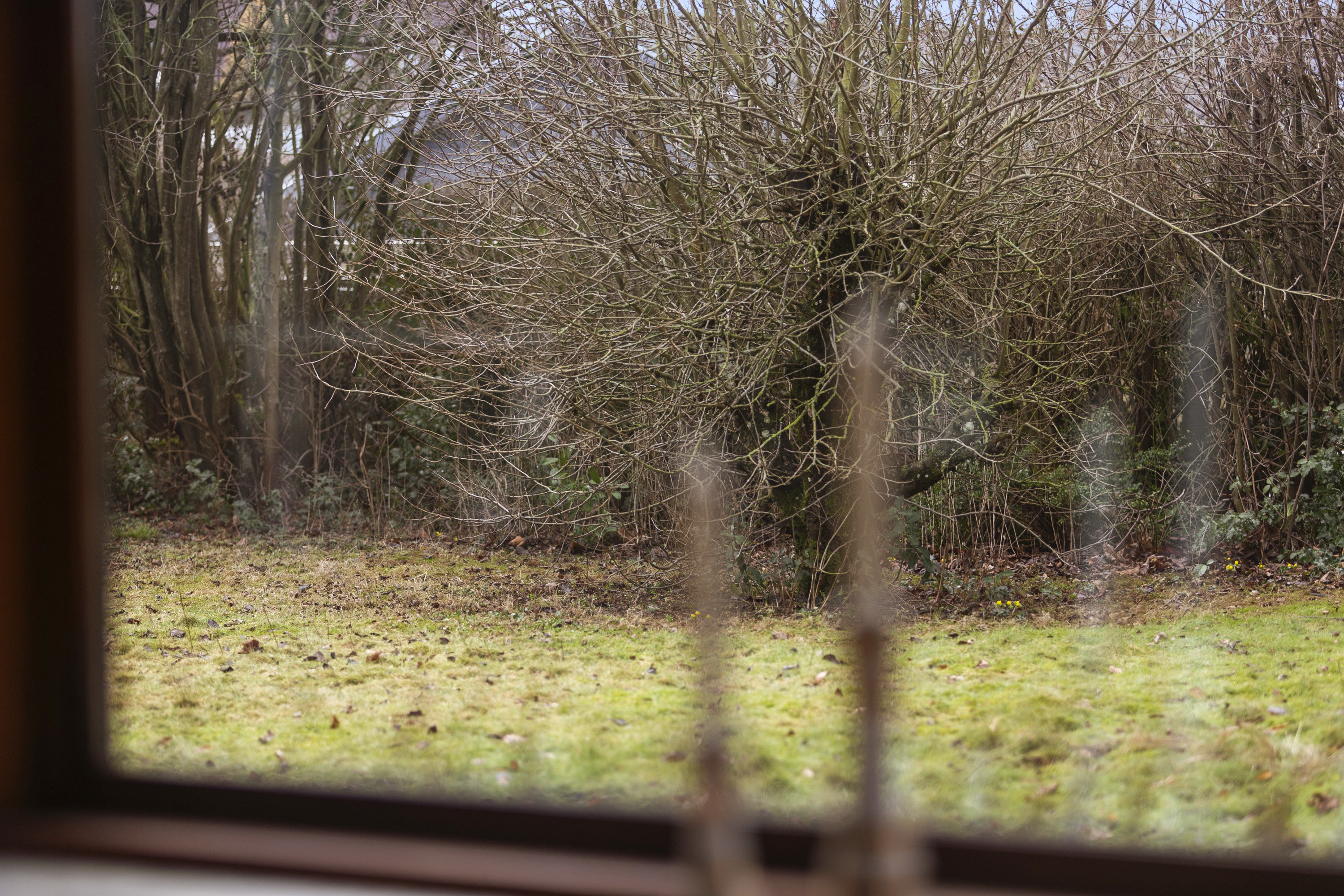 Fremhævet område billede i fuldskærmstilstand. Billede af Snerlevej 30, 8700 Horsens