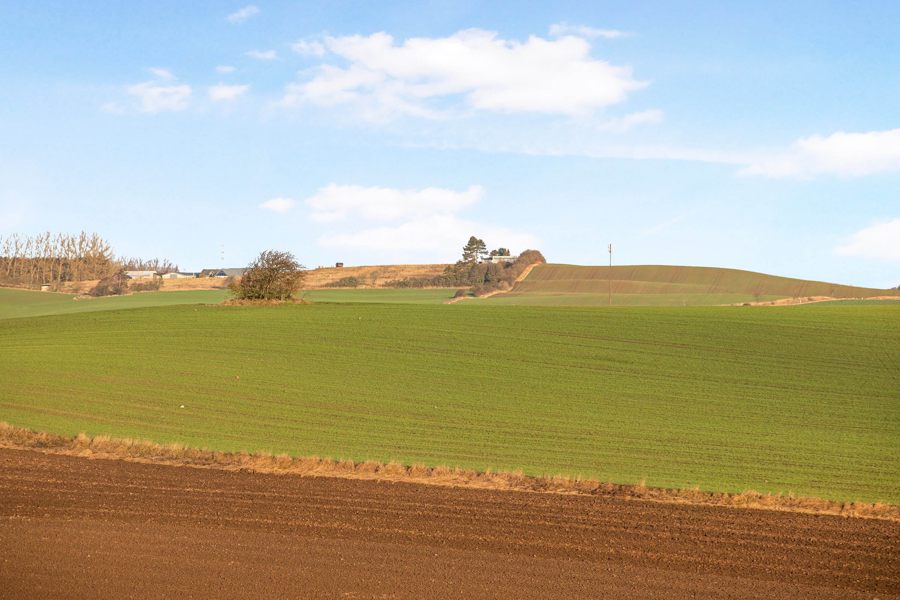 Fremhævet  billede i fuldskærmstilstand. Billede af Moesbakken 4, 8410 Rønde