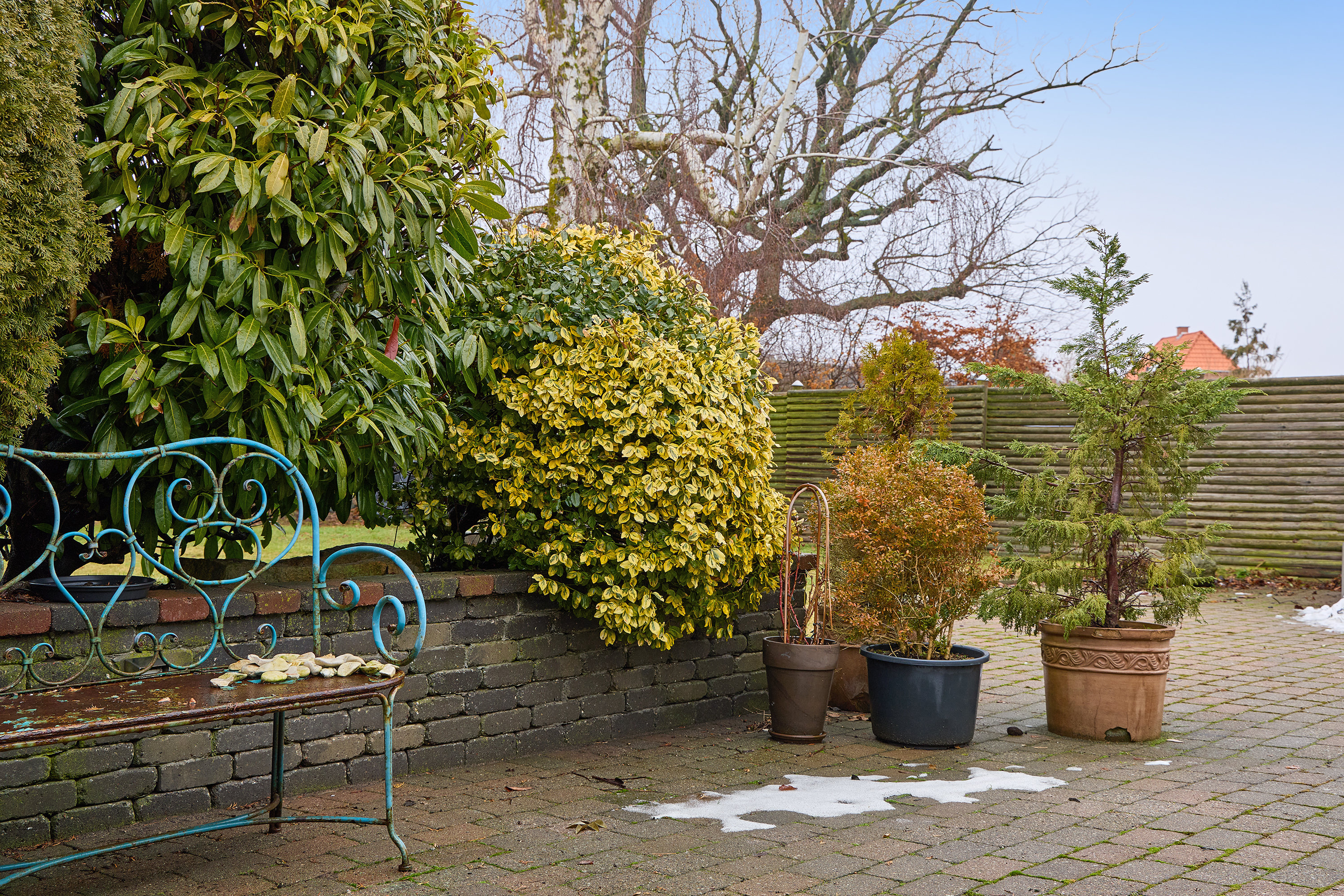 Fremhævet terrasse billede i fuldskærmstilstand. Billede af Klintevej 1A, 3600 Frederikssund