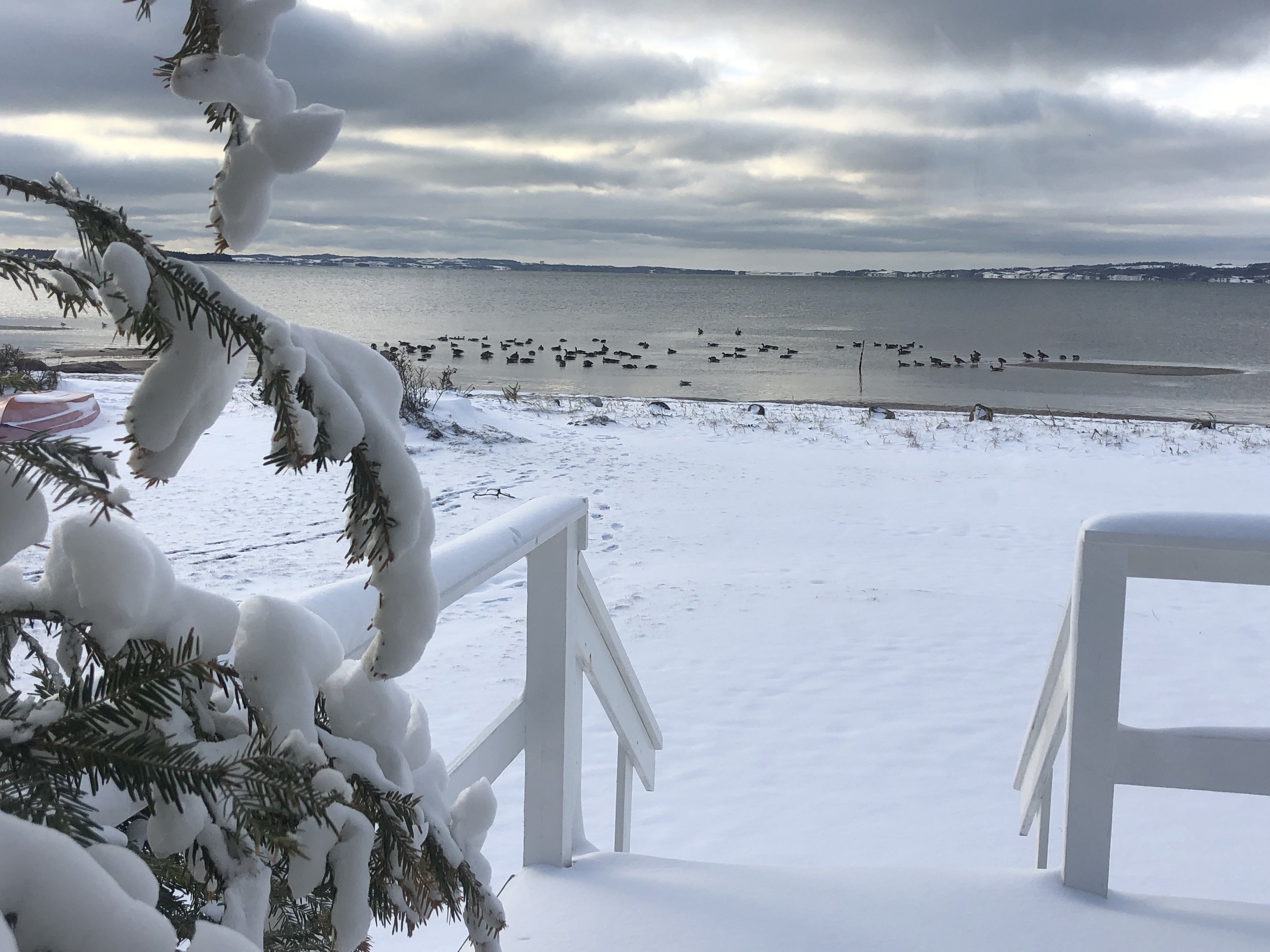 Fremhævet  billede i fuldskærmstilstand. Billede af Vibæk Strandvej 7, 8400 Ebeltoft