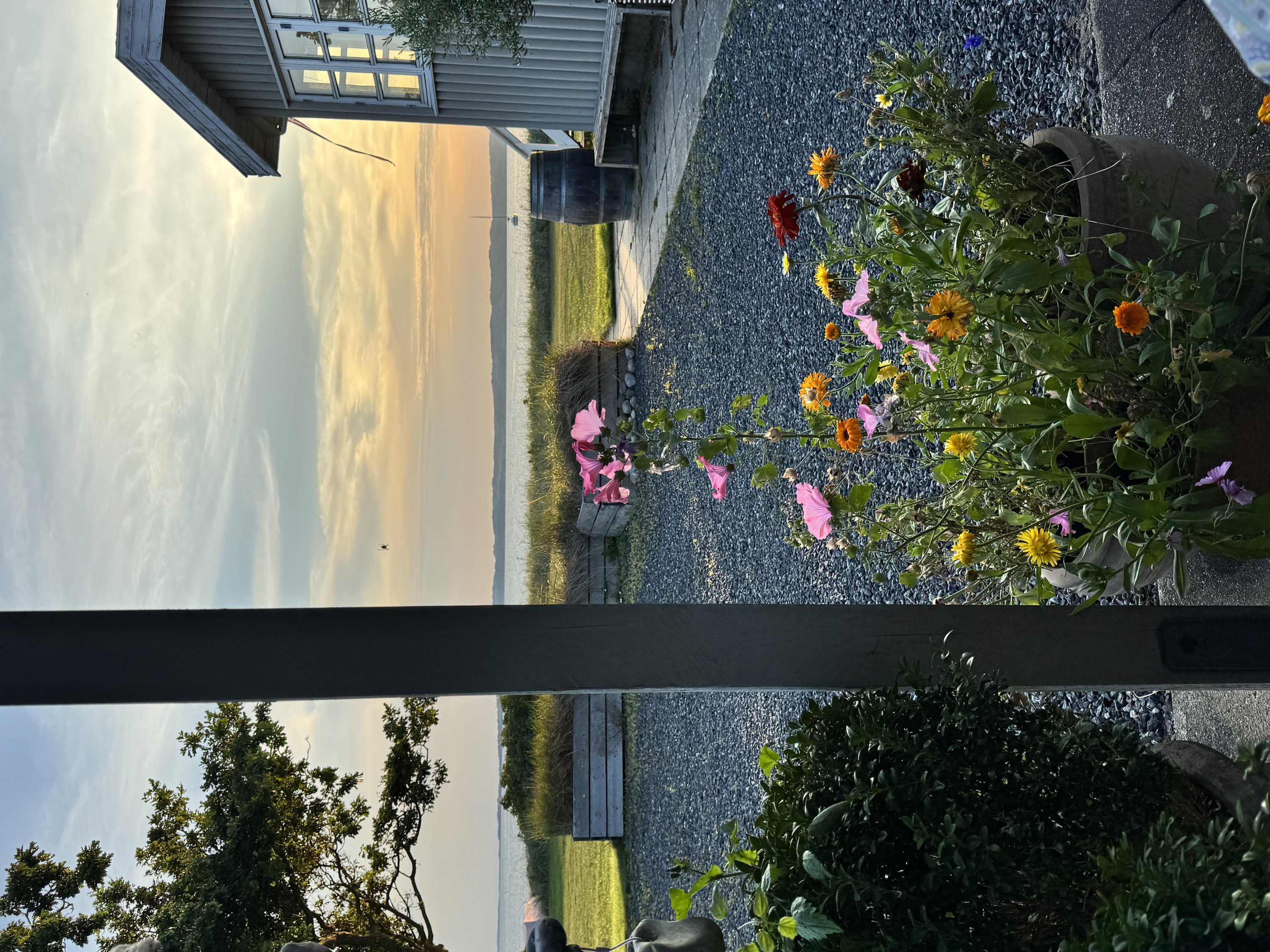 Fremhævet  billede i fuldskærmstilstand. Billede af Vibæk Strandvej 7, 8400 Ebeltoft