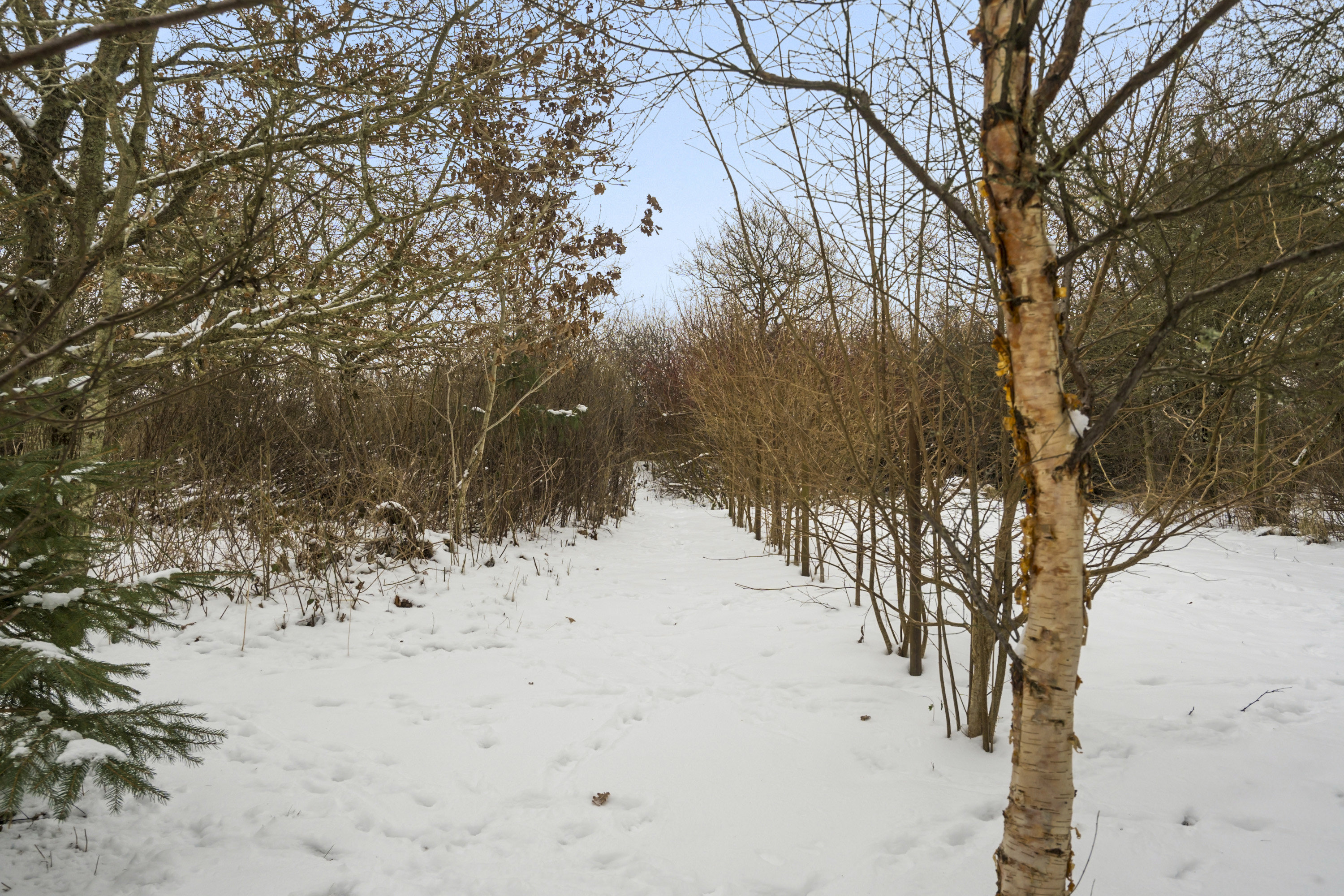 Fremhævet område billede i fuldskærmstilstand. Billede af Vester Mosevej 47, Husby, 6990 Ulfborg