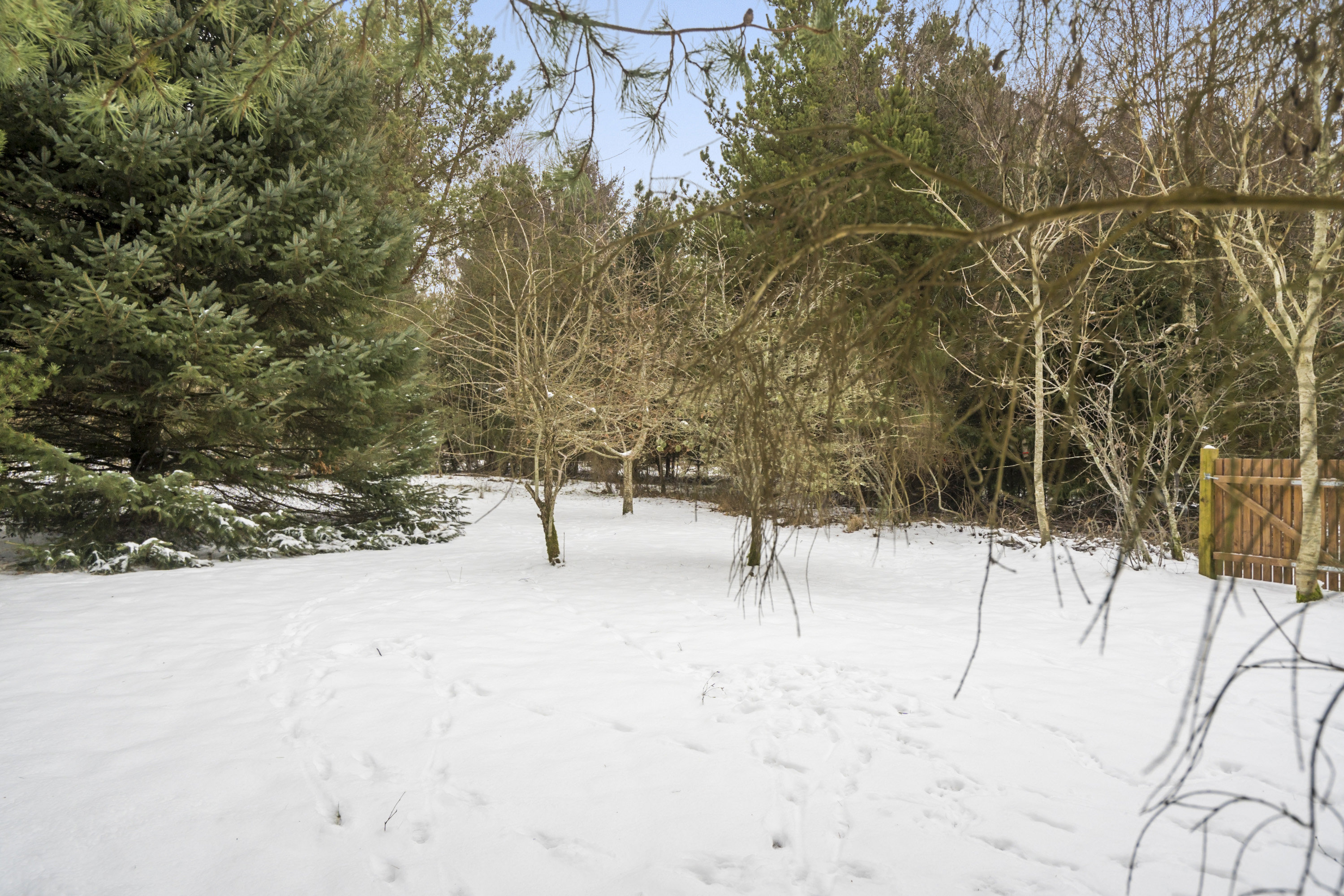 Fremhævet område billede i fuldskærmstilstand. Billede af Vester Mosevej 47, Husby, 6990 Ulfborg