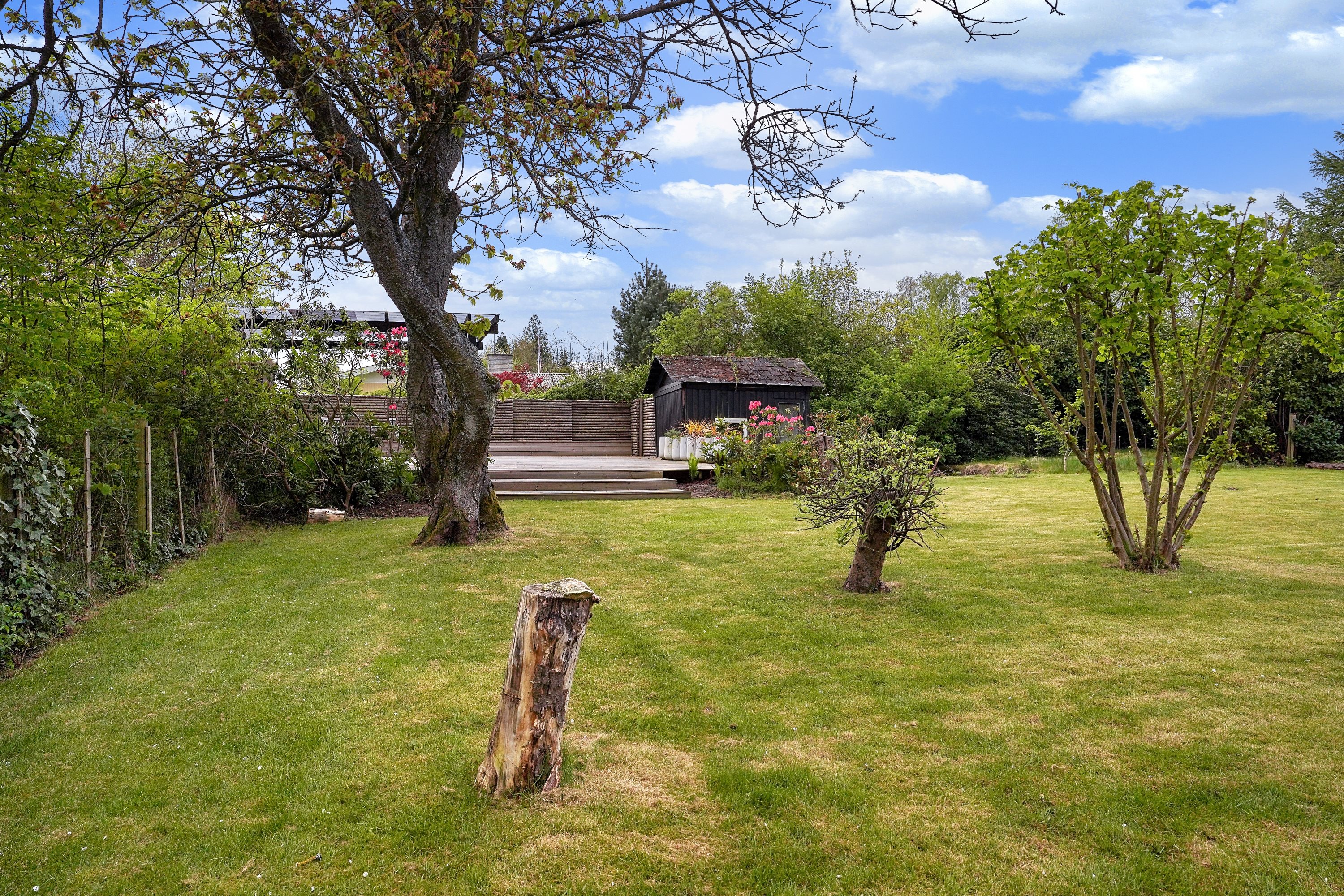 Fremhævet have billede i fuldskærmstilstand. Billede af Vænget 10, 3120 Dronningmølle