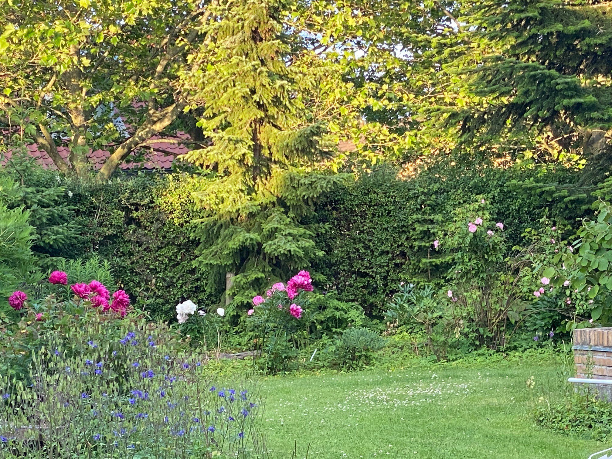 Fremhævet udendørs billede i fuldskærmstilstand. Billede af Grænsevej 7, 2650 Hvidovre