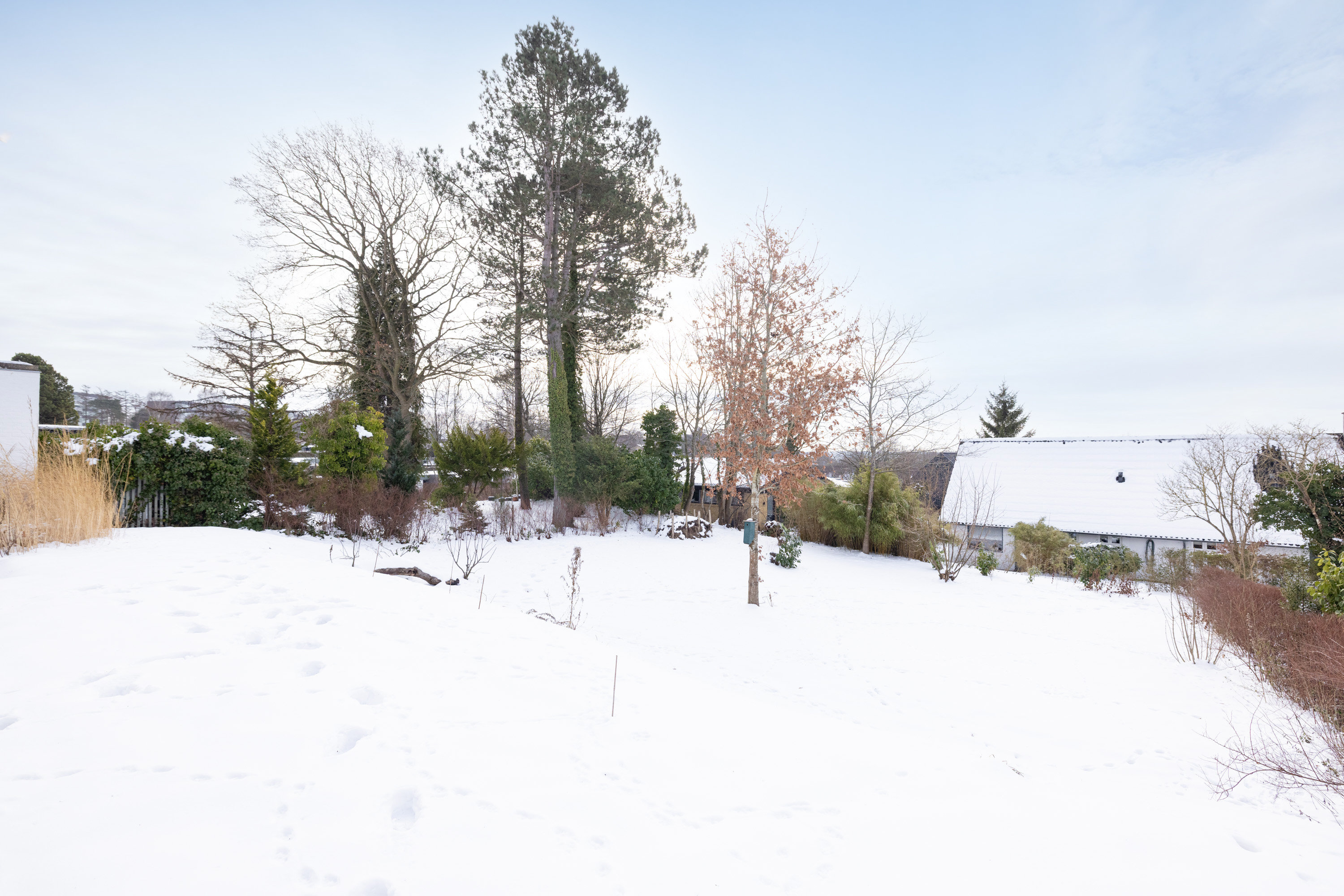 Fremhævet  billede i fuldskærmstilstand. Billede af Ligustervej 5, 8220 Brabrand