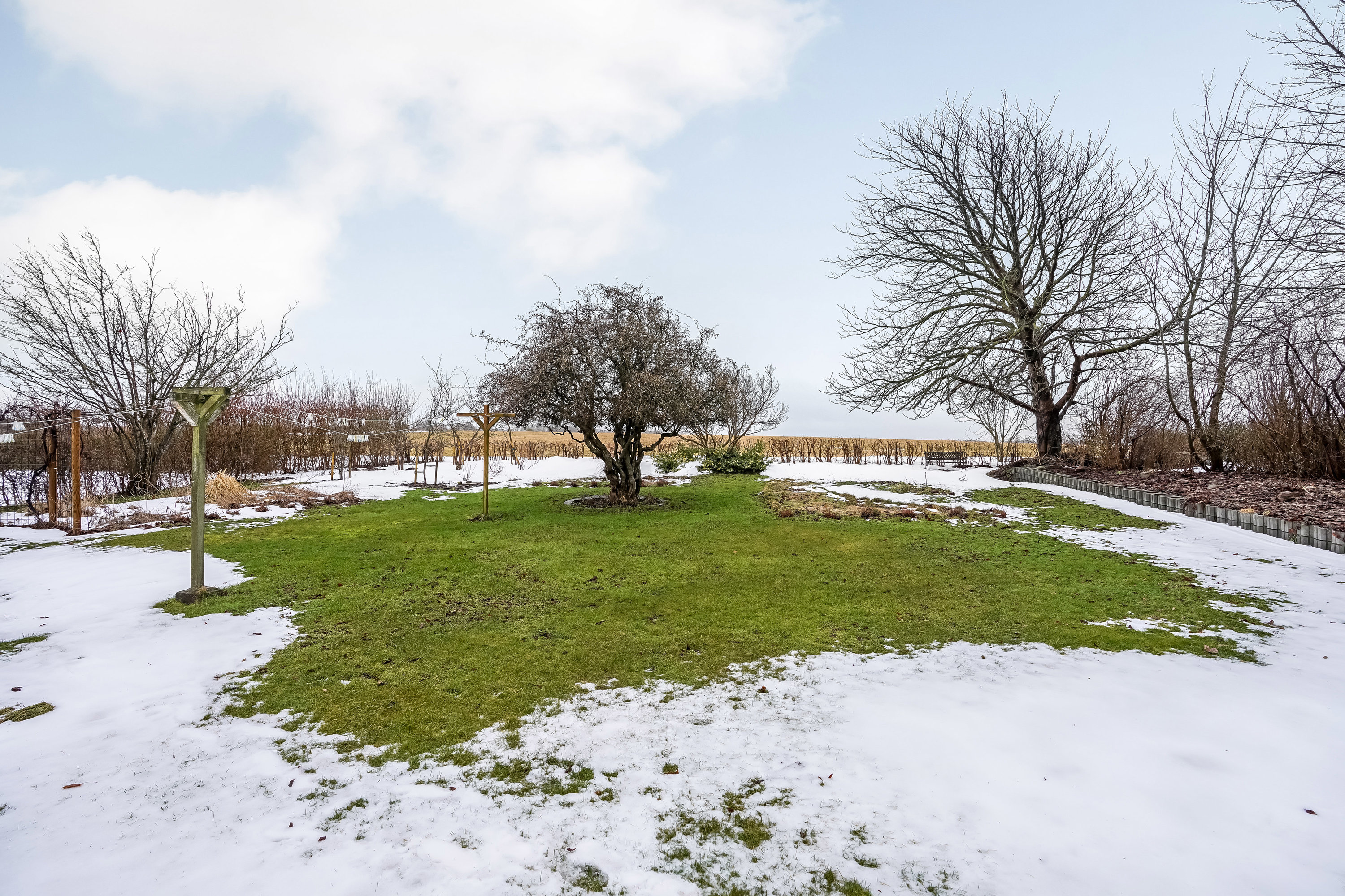 Fremhævet have billede i fuldskærmstilstand. Billede af Søndervang 23, Ølholm, 7160 Tørring
