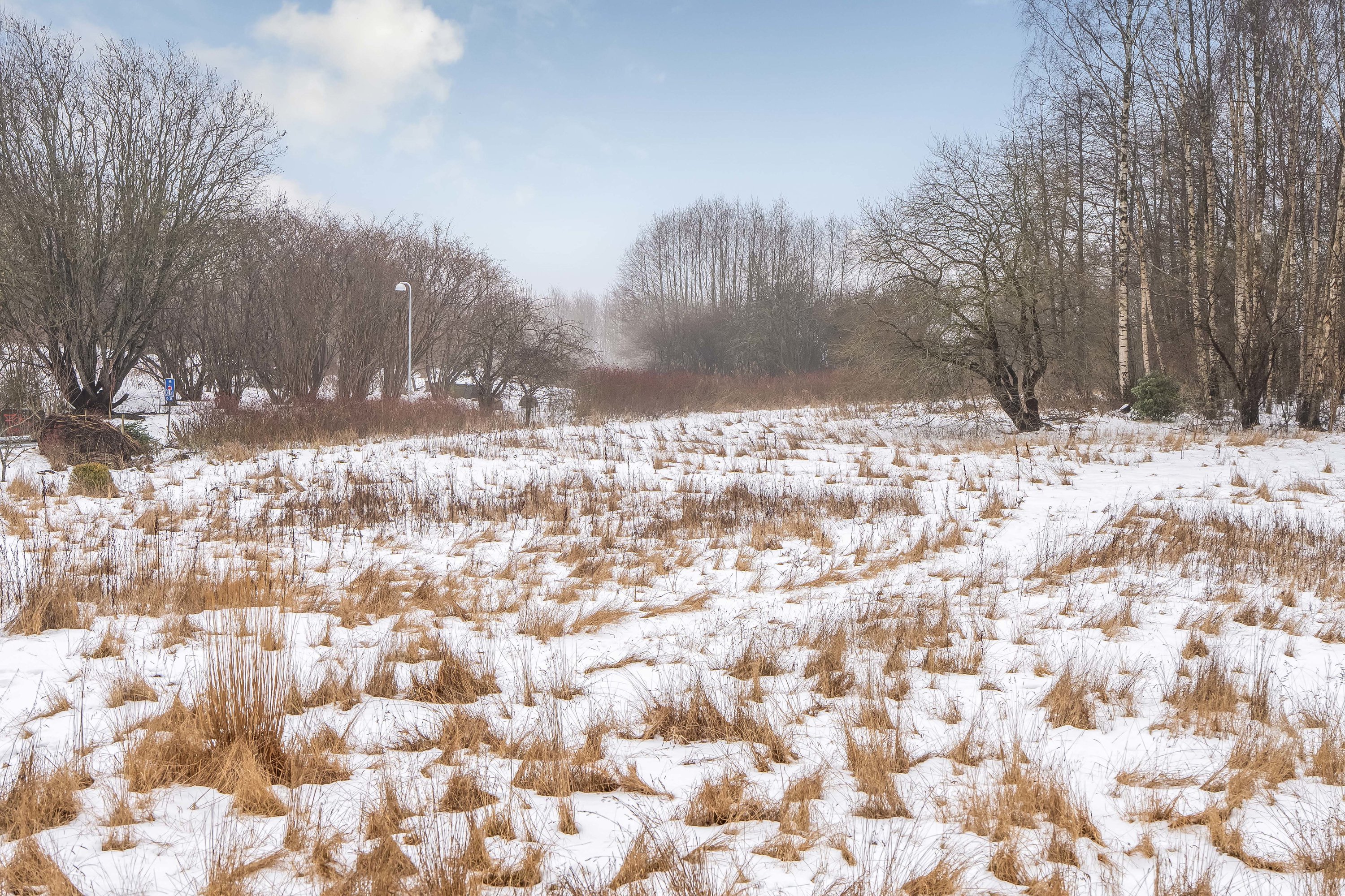 Fremhævet udsigt billede i fuldskærmstilstand. Billede af Slåenbækken 6, Ny Hammersholt, 3400 Hillerød