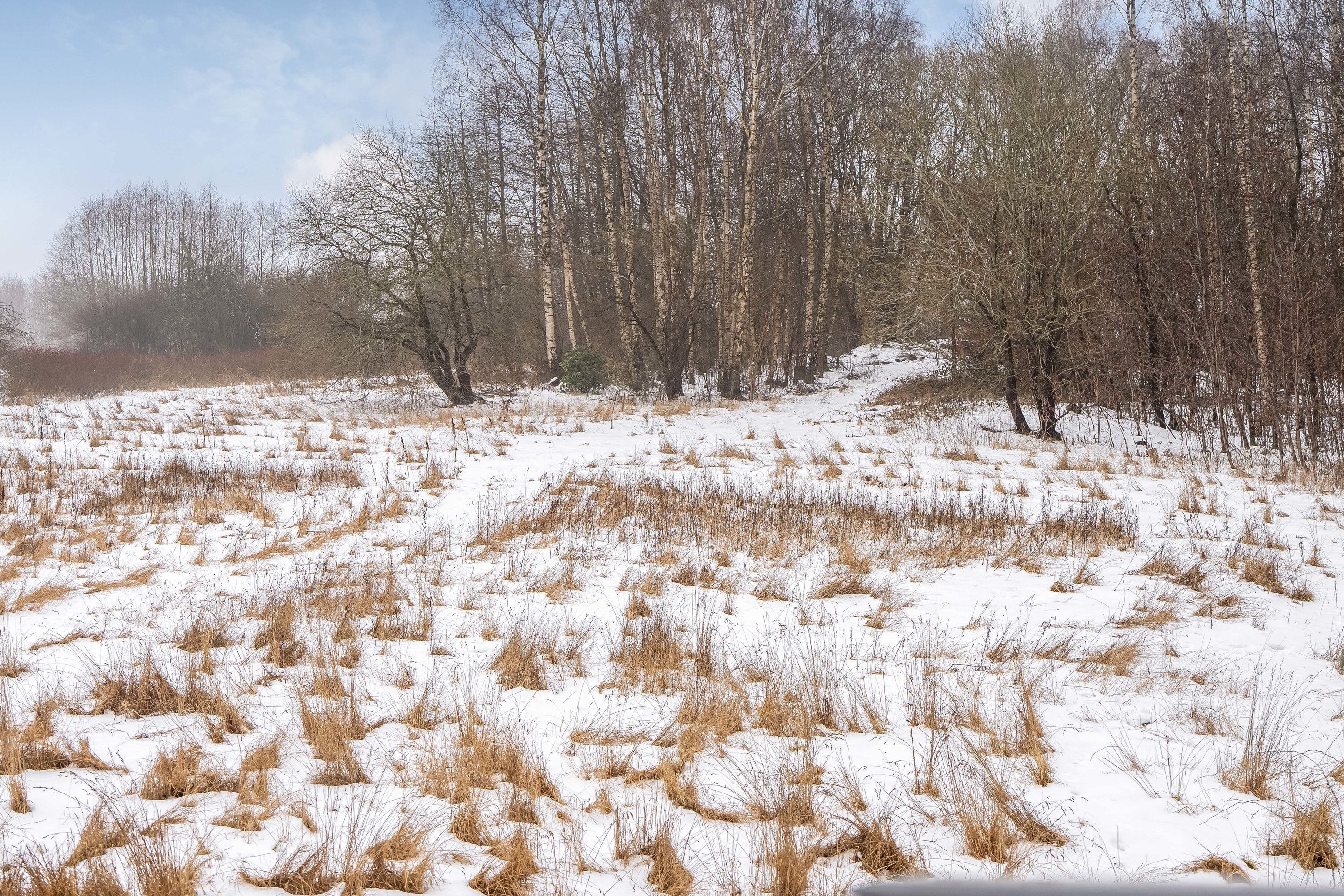 Fremhævet udsigt billede i fuldskærmstilstand. Billede af Slåenbækken 6, Ny Hammersholt, 3400 Hillerød