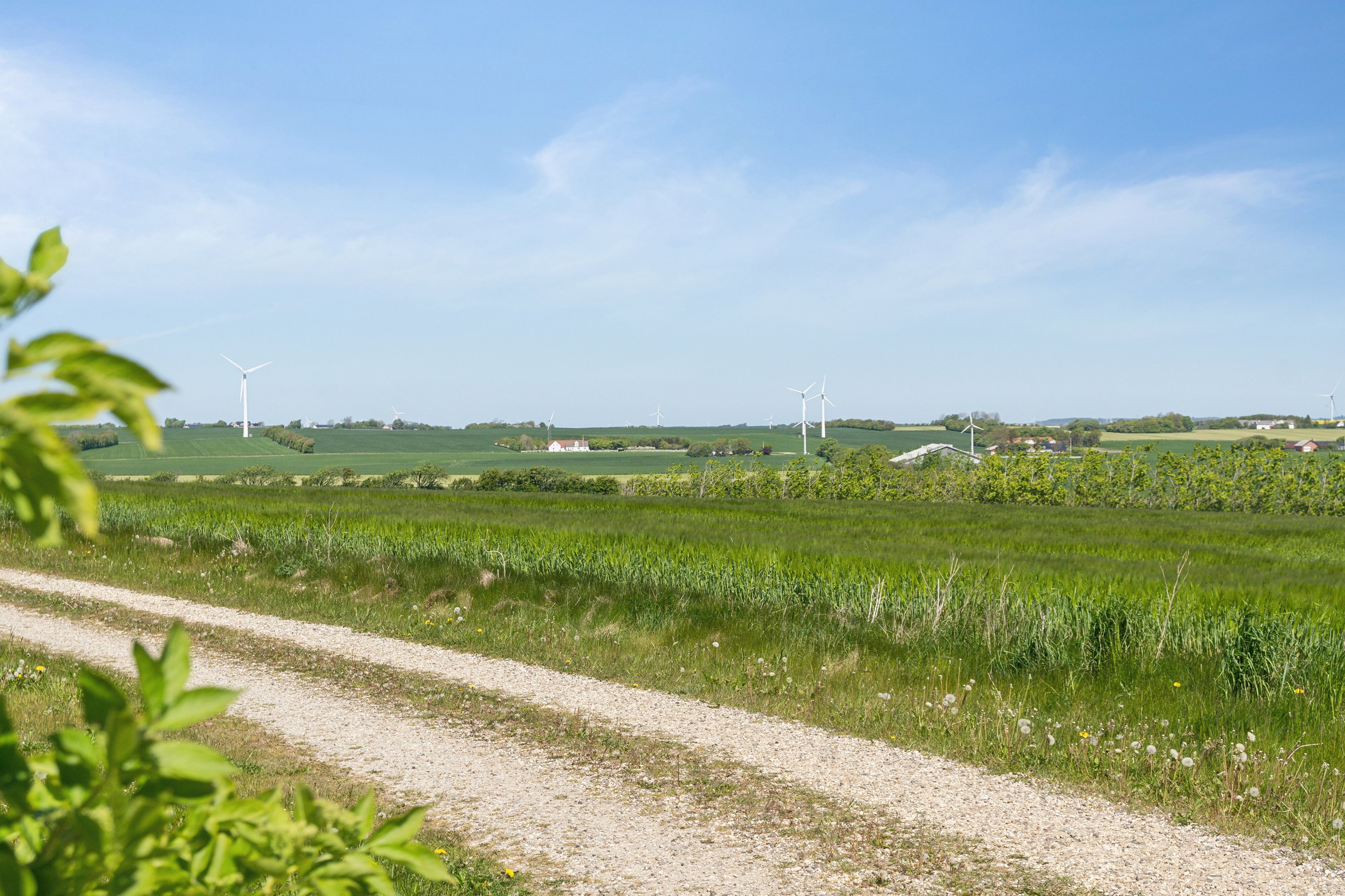 Fremhævet udendørs billede i fuldskærmstilstand. Billede af Ballerumvej 37, 7700 Thisted