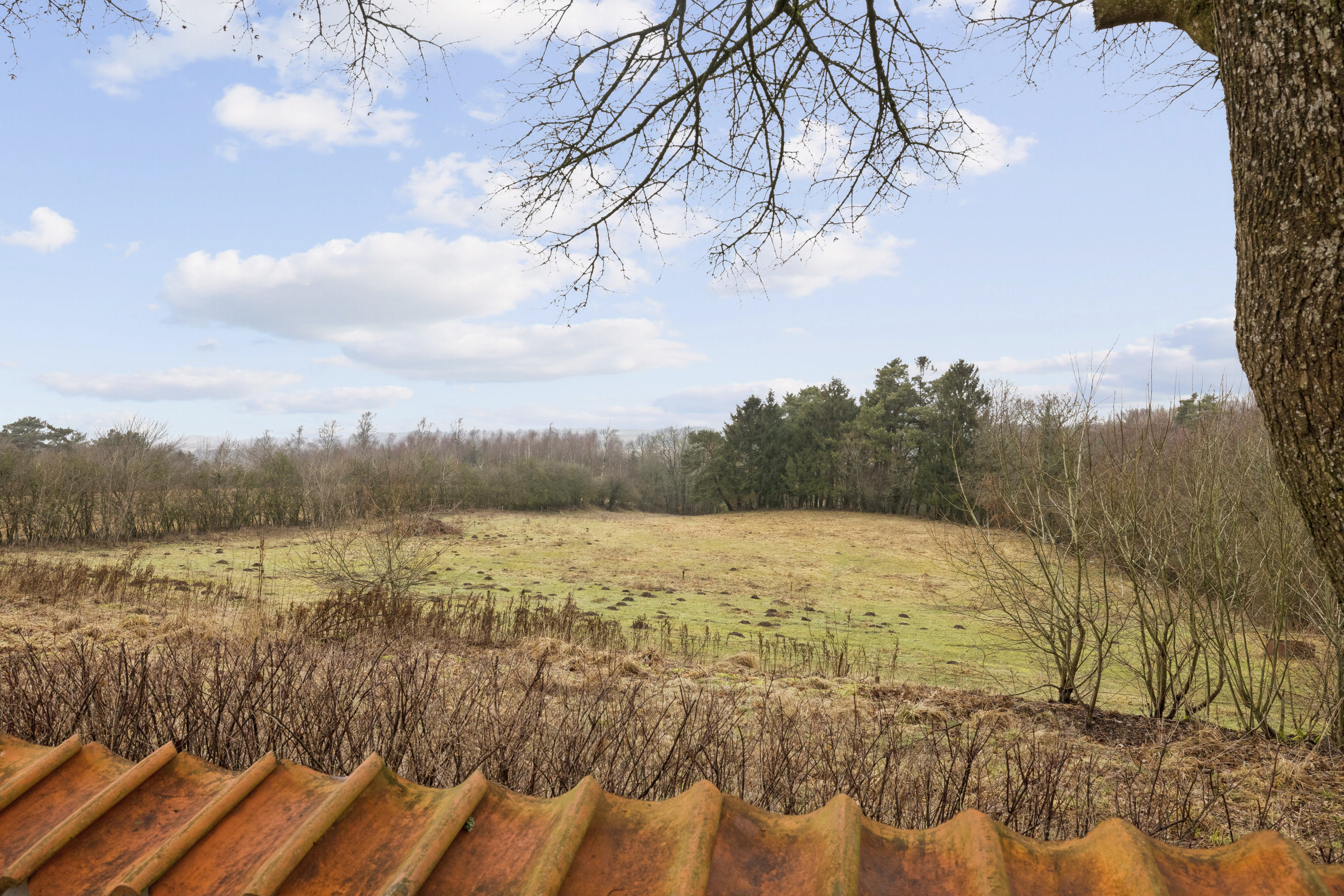 Fremhævet udsigt billede i fuldskærmstilstand. Billede af Hobrovej 55, Vammen, 8830 Tjele