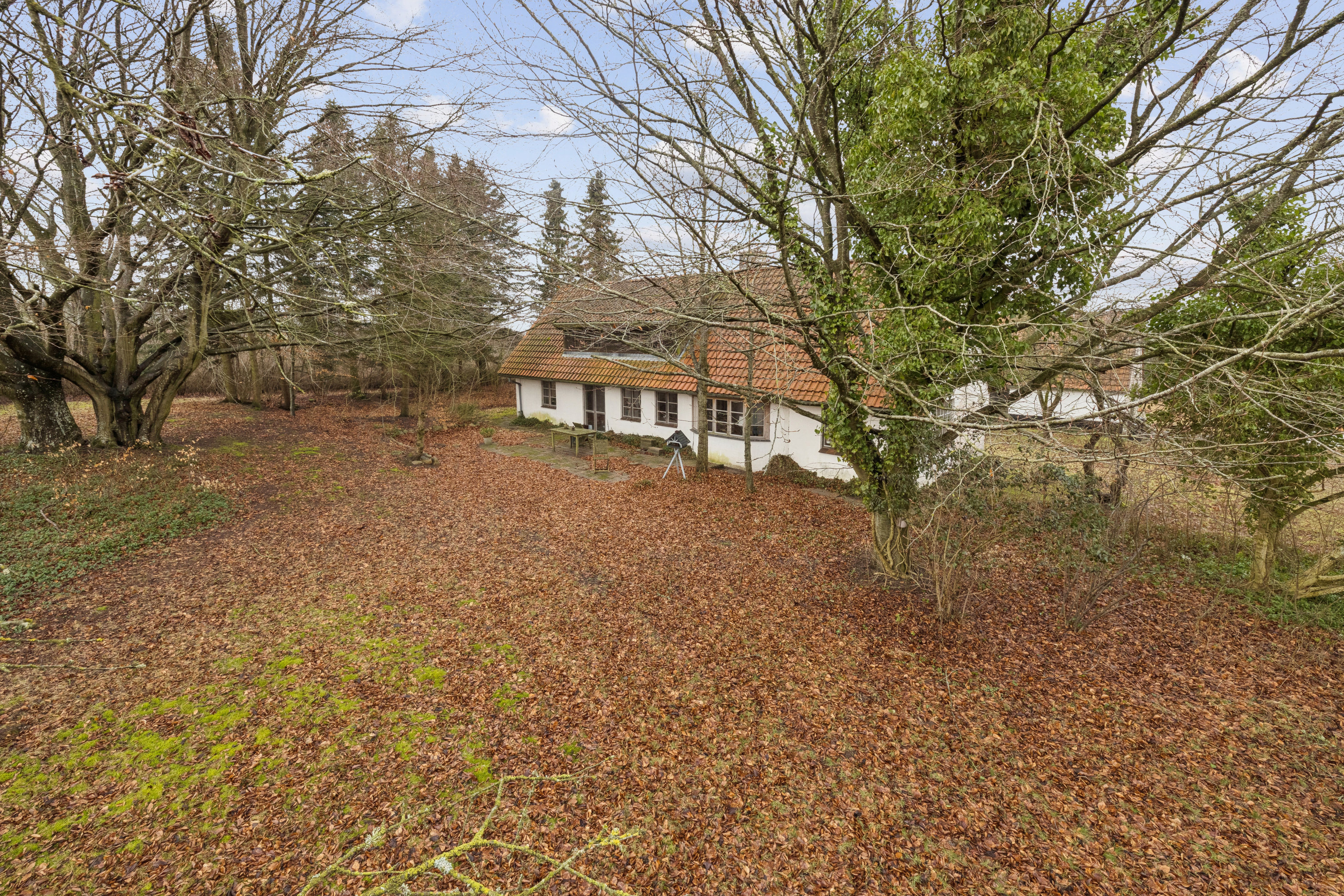 Fremhævet andet billede i fuldskærmstilstand. Billede af Hobrovej 55, Vammen, 8830 Tjele