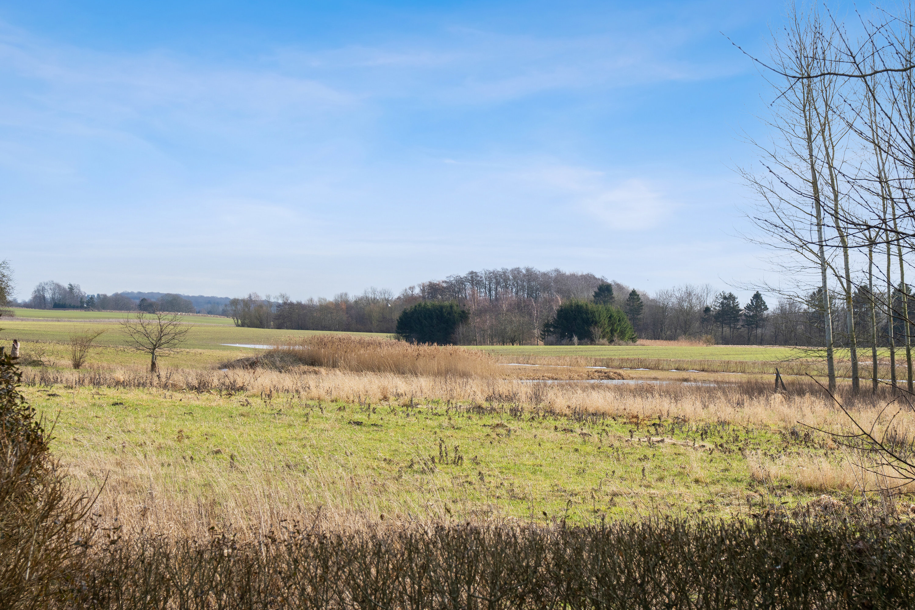 Fremhævet set fra haven billede i fuldskærmstilstand. Billede af Rugtvedvej 31, Forsinge, 4490 Jerslev Sjælland