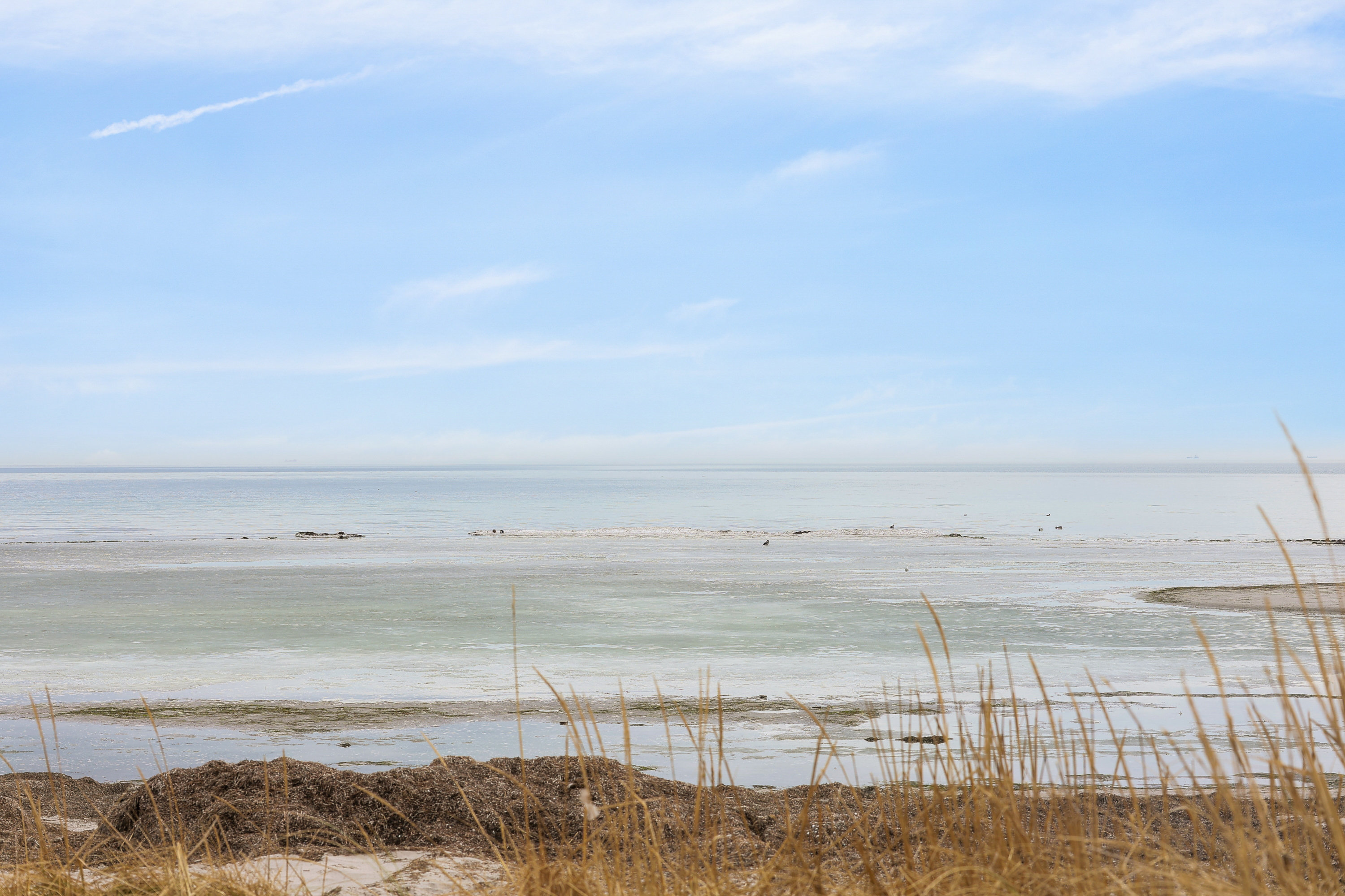 Fremhævet område billede i fuldskærmstilstand. Billede af Hundige Strandvej 114, 2670 Greve