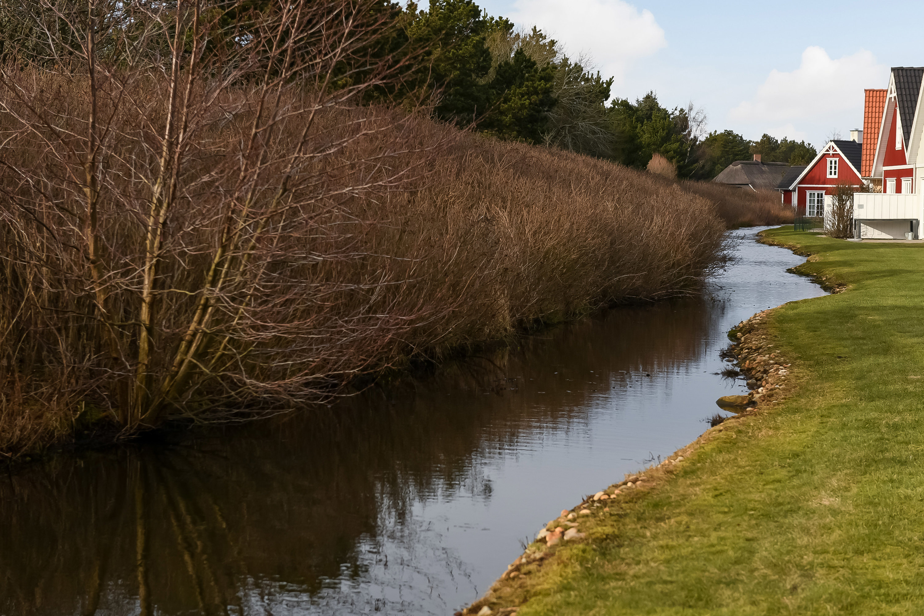 Fremhævet have billede i fuldskærmstilstand. Billede af Horns Bjerge 3, 84., 6857 Blåvand