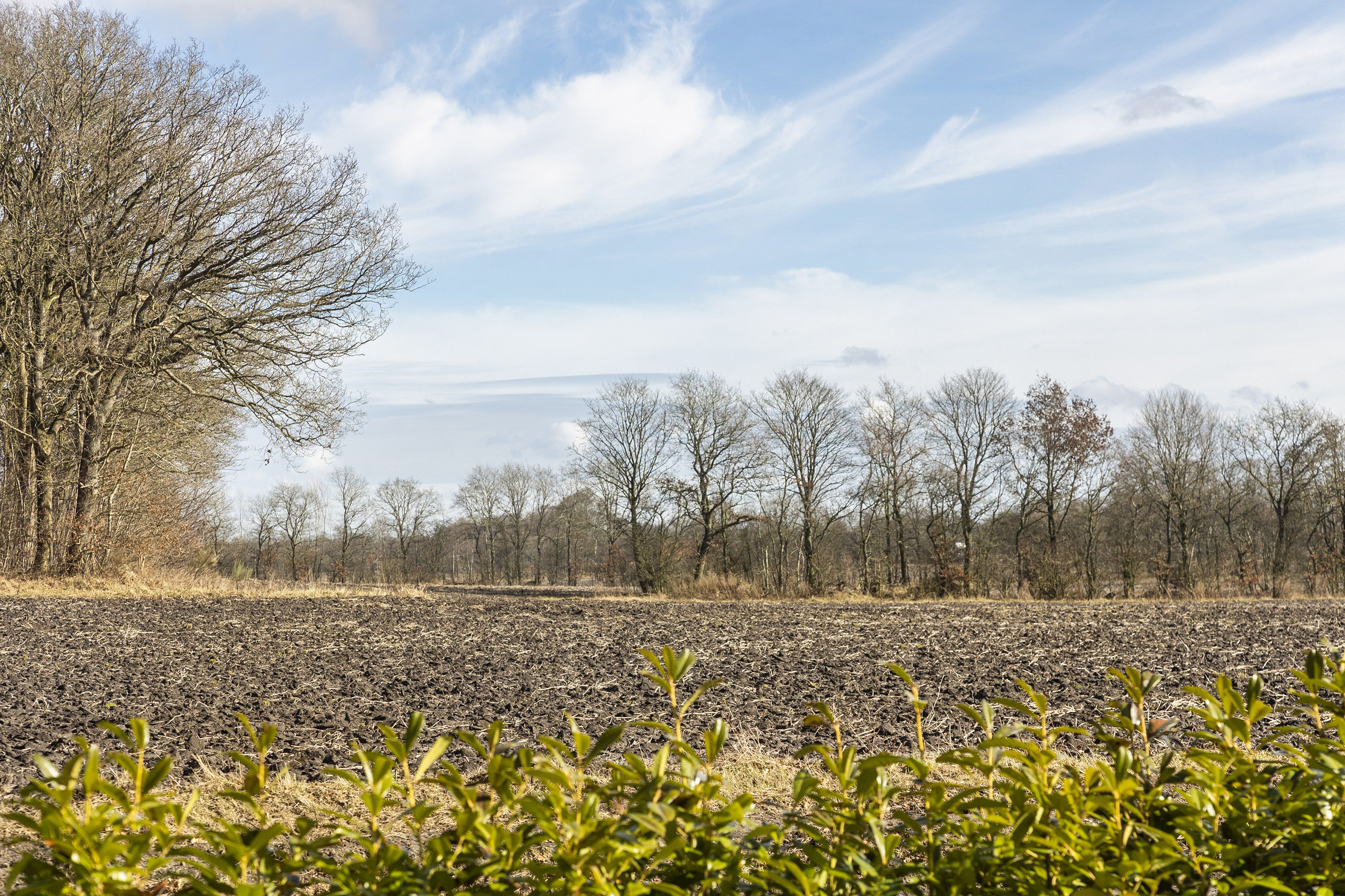 Fremhævet område billede i fuldskærmstilstand. Billede af Ø. Skibelundvej 56, 6600 Vejen