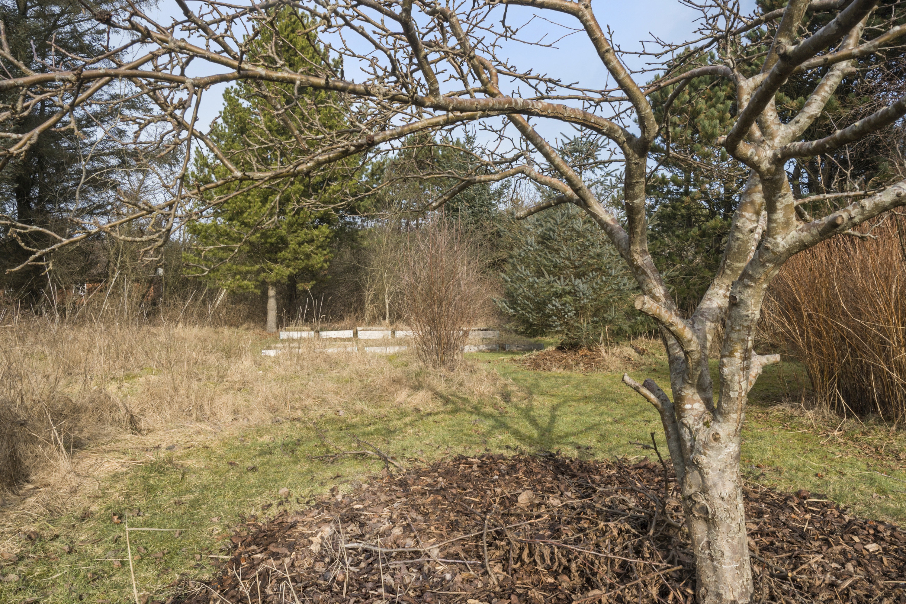 Fremhævet område billede i fuldskærmstilstand. Billede af Tyttebærvej 29, Vedersø, 6990 Ulfborg