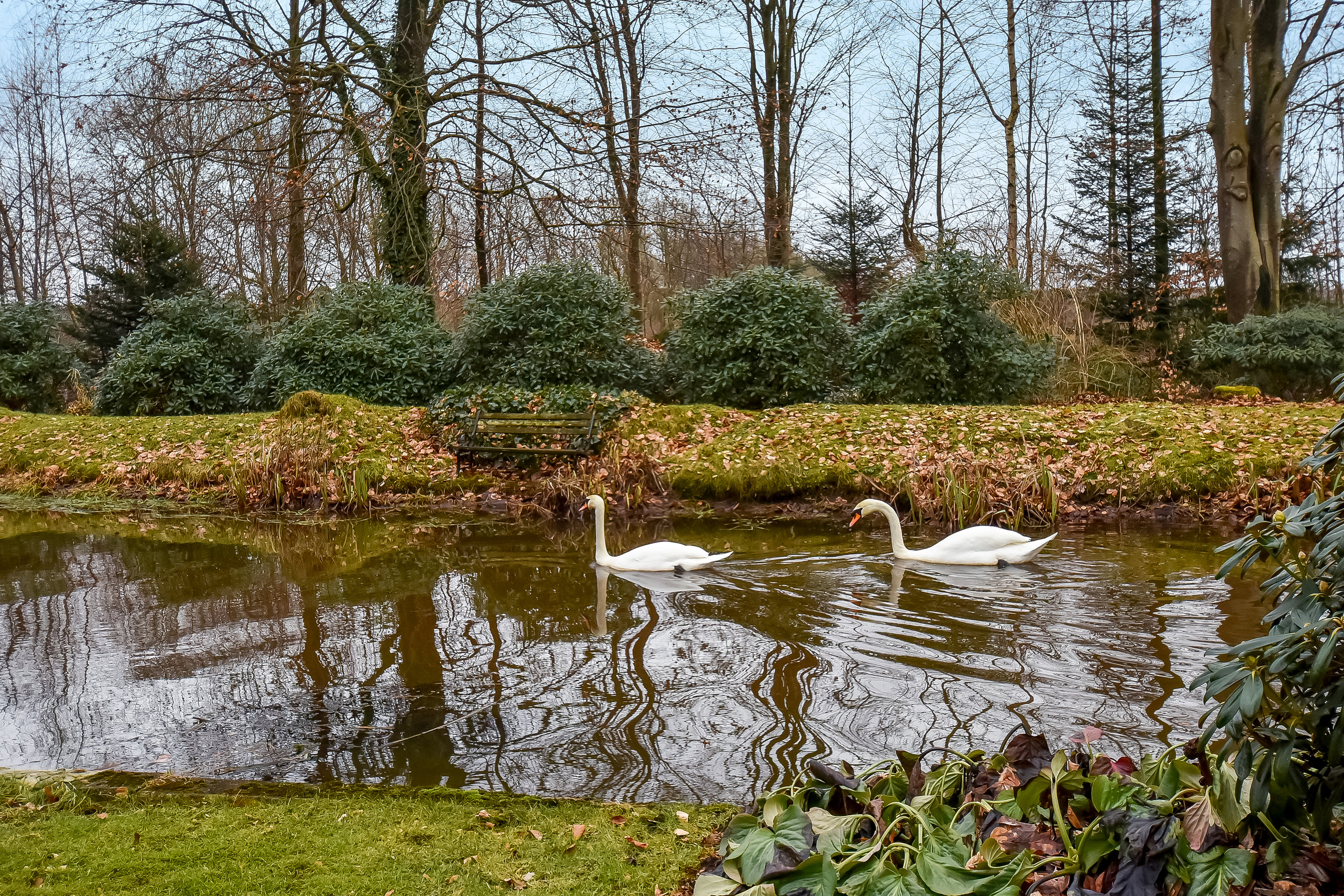 Fremhævet have billede i fuldskærmstilstand. Billede af Skjernvej 121, Skarrild, 6933 Kibæk