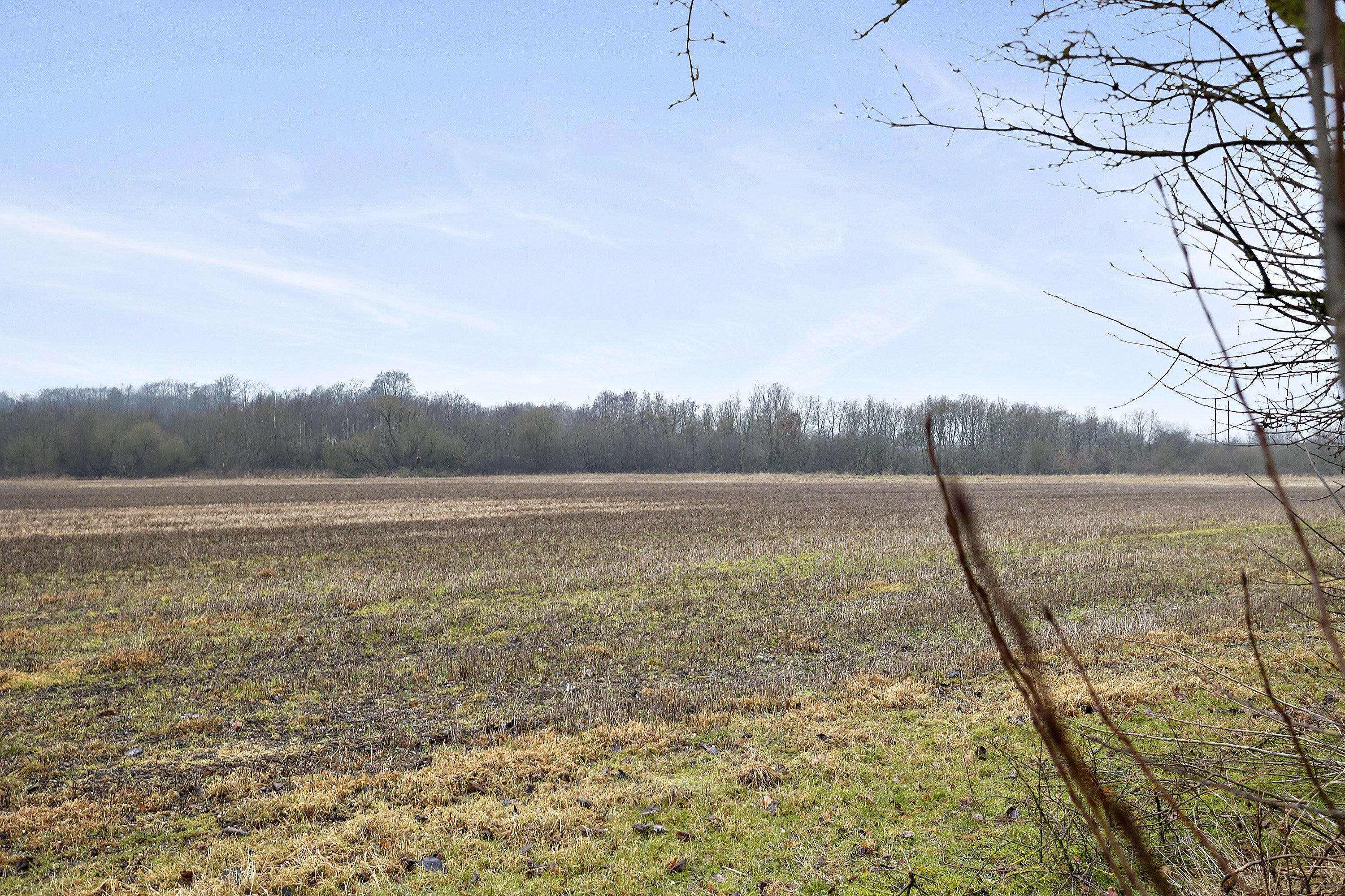 Fremhævet område billede i fuldskærmstilstand. Billede af Ladelundvej 63, Malt, 6600 Vejen