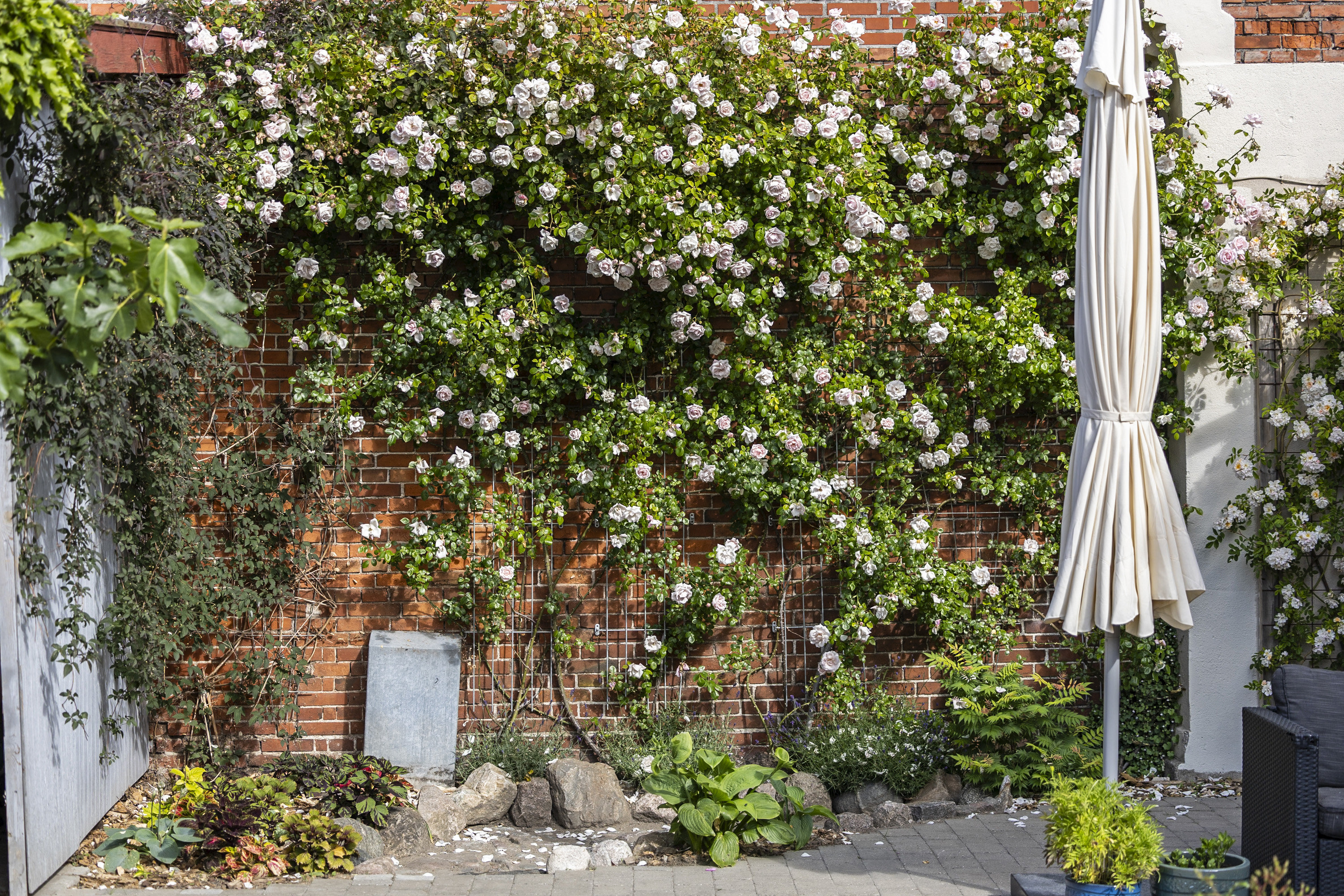 Fremhævet terrasse billede i fuldskærmstilstand. Billede af Baggade 15, 4220 Korsør