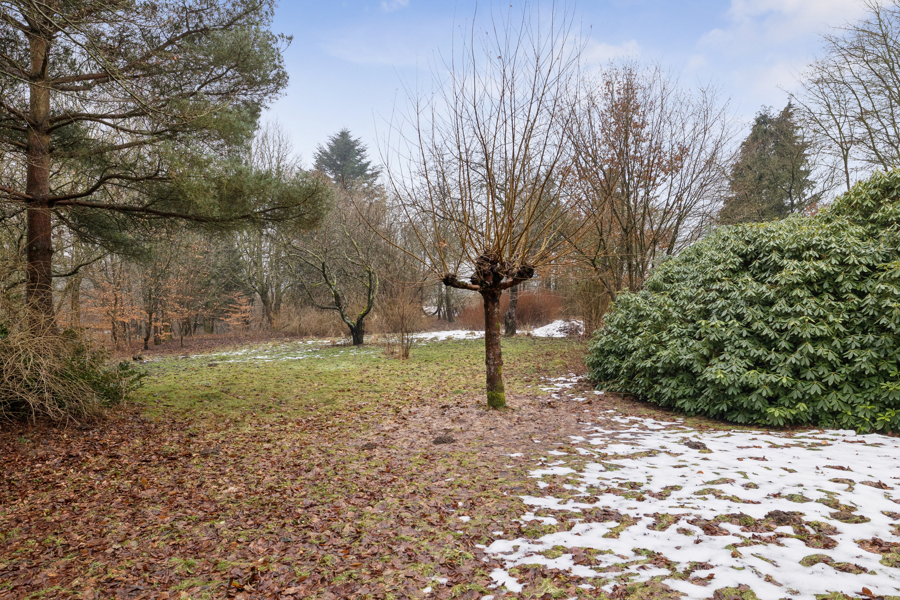 Fremhævet have billede i fuldskærmstilstand. Billede af Cecilieborgvej 4, Katbjerg, 9550 Mariager