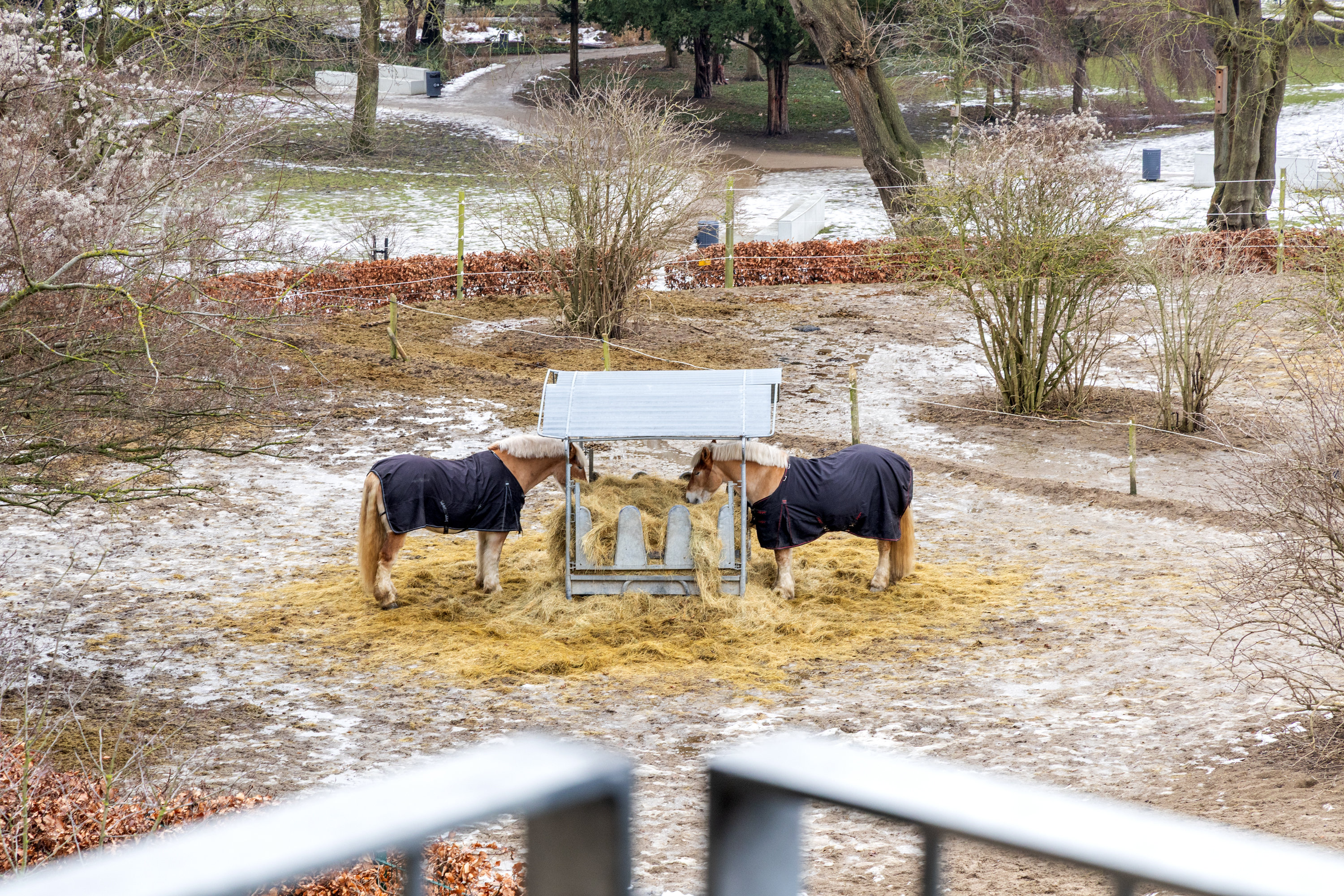 Fremhævet udsigt billede i fuldskærmstilstand. Billede af Fadet 51, 2. 3., 1799 København V