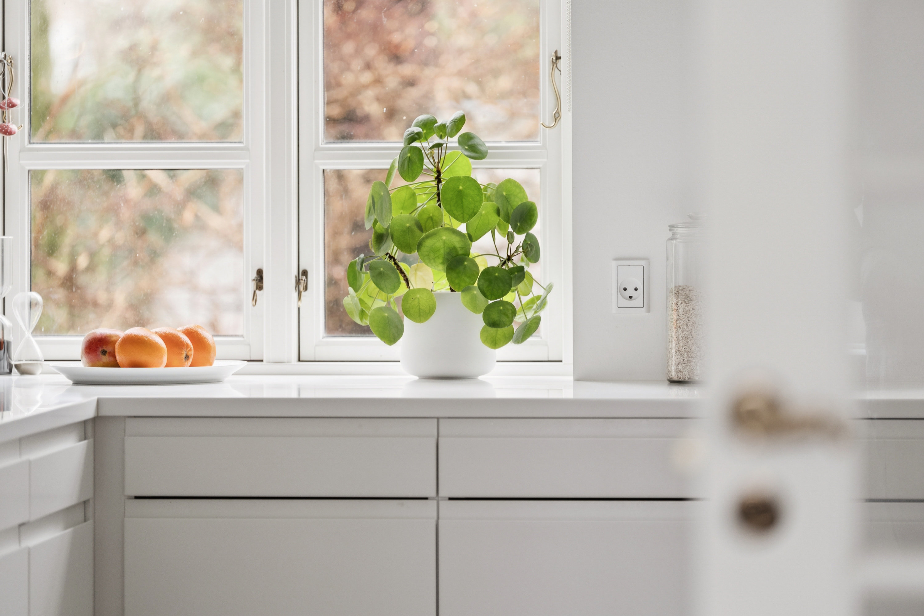 Fremhævet køkken billede i fuldskærmstilstand. Billede af Strøybergsvej 4, st.., 9000 Aalborg