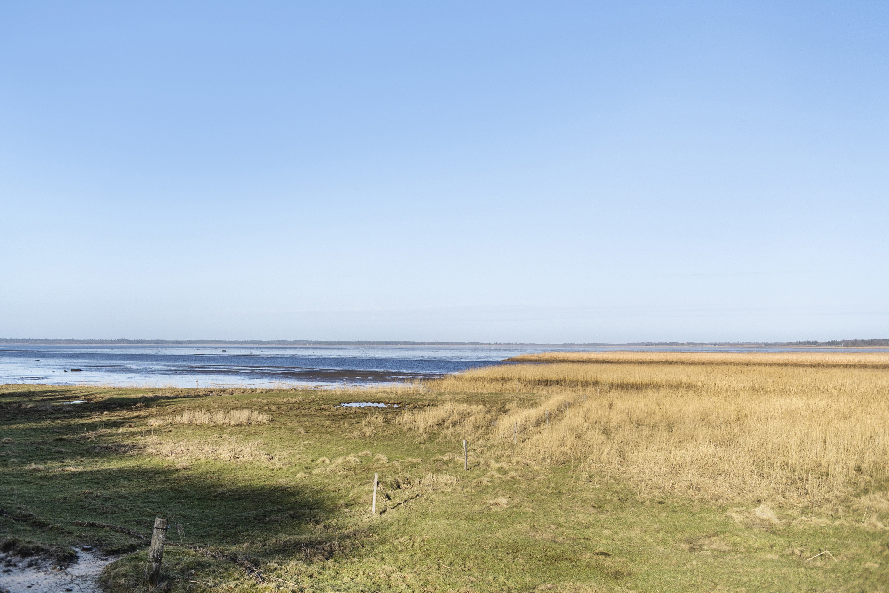 Fremhævet andet billede i fuldskærmstilstand. Billede af Myrtuevej 19, 6710 Esbjerg V