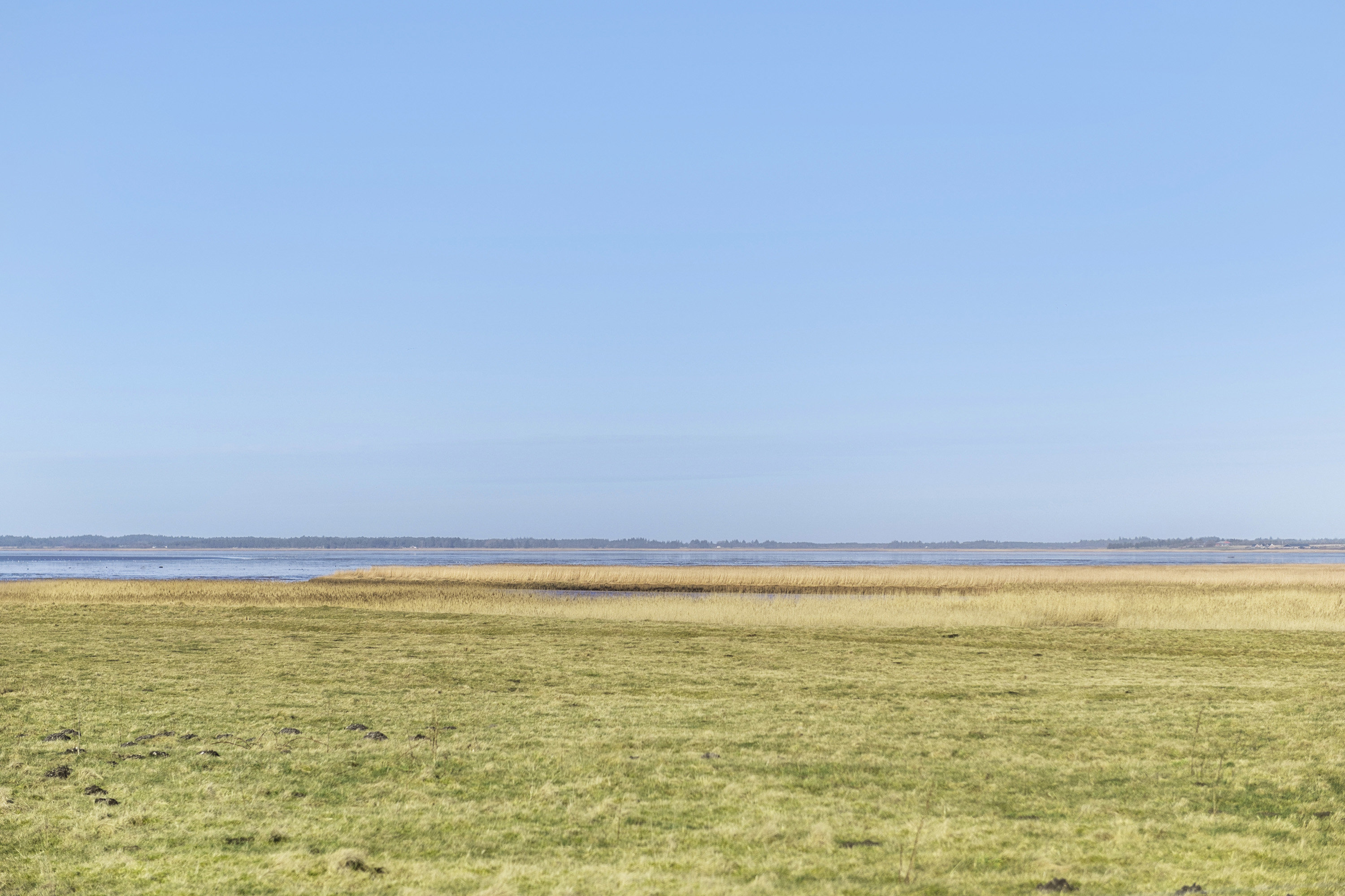 Fremhævet område billede i fuldskærmstilstand. Billede af Myrtuevej 19, 6710 Esbjerg V