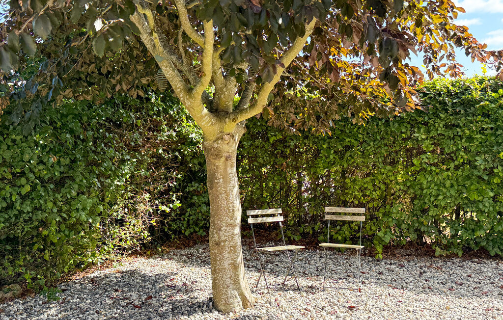 Fremhævet  billede i fuldskærmstilstand. Billede af Valmuevej 25, Følle Strand, 8410 Rønde