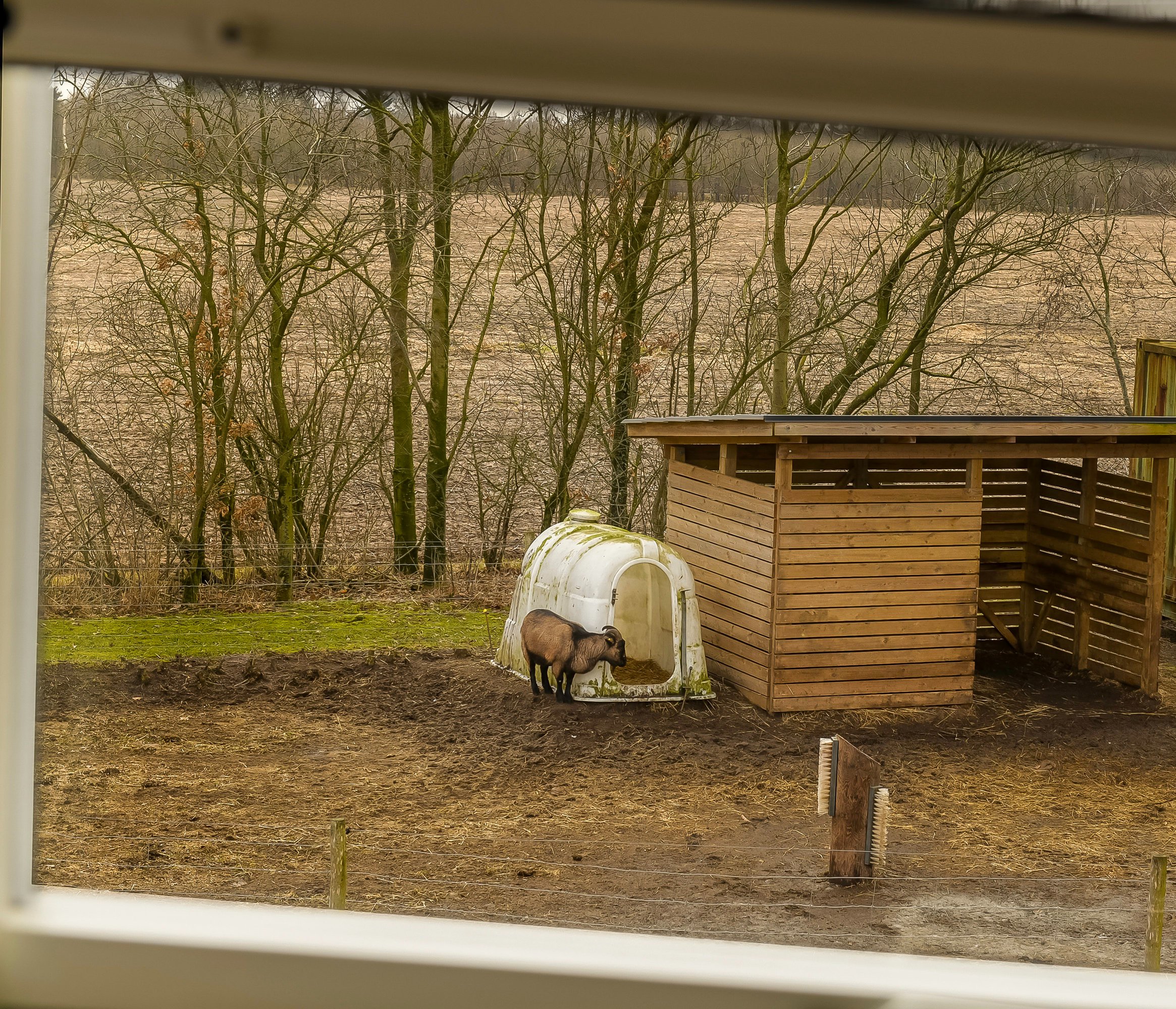 Fremhævet andet billede i fuldskærmstilstand. Billede af Ølgodvej 13, Jerrig, 7200 Grindsted