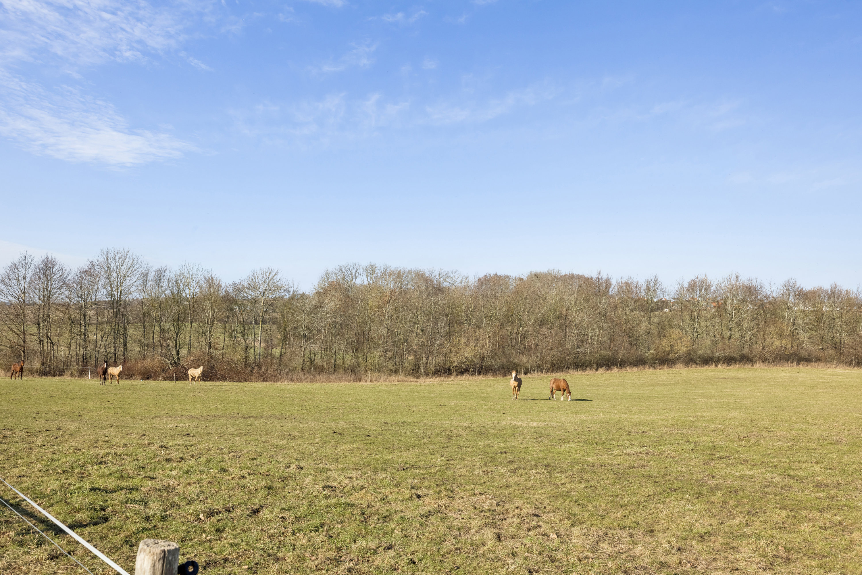 Fremhævet omgivelser billede i fuldskærmstilstand. Billede af Stenhøjvej 16, Følle Strand, 8410 Rønde