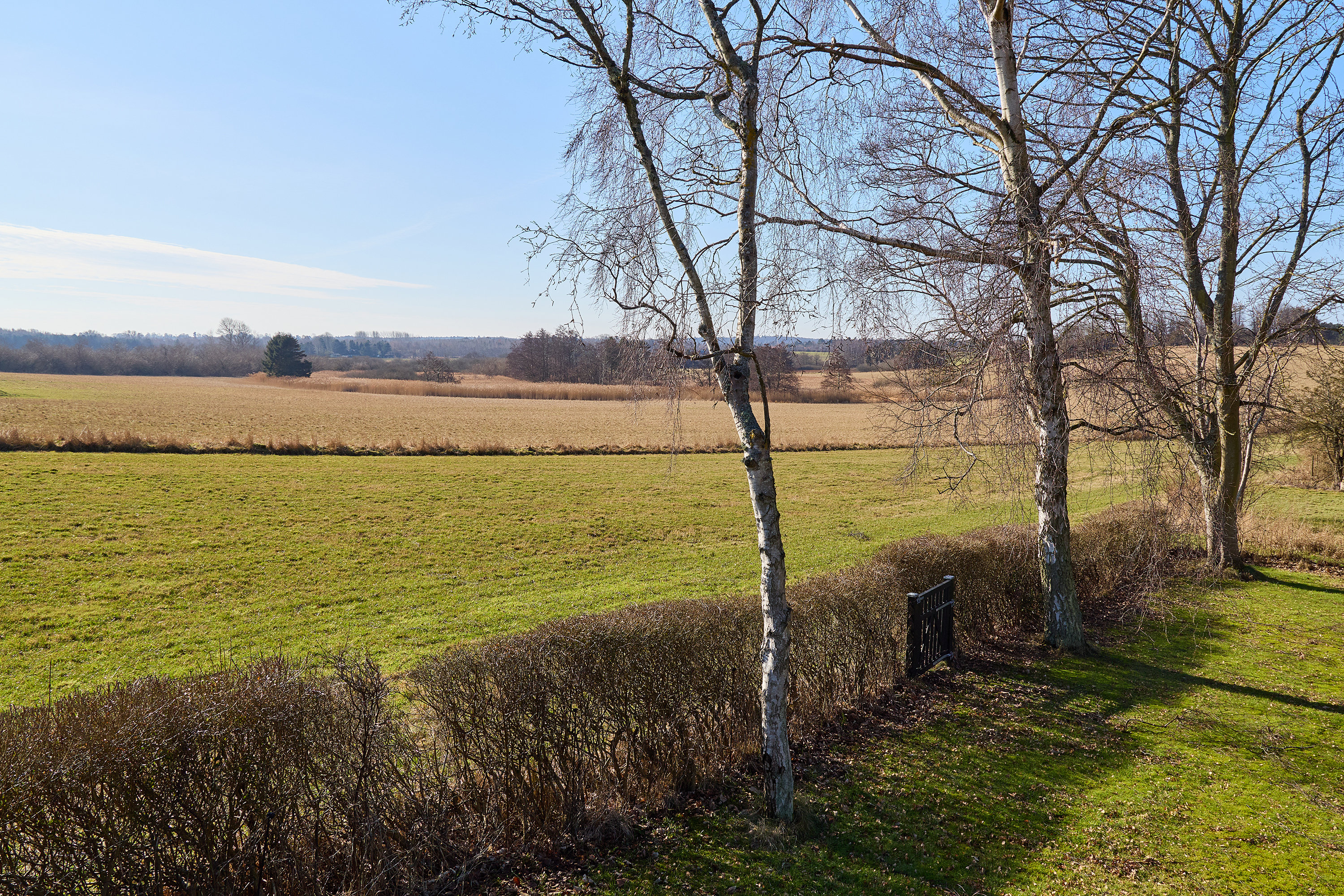 Fremhævet have billede i fuldskærmstilstand. Billede af Lundevangen 17, 3210 Vejby