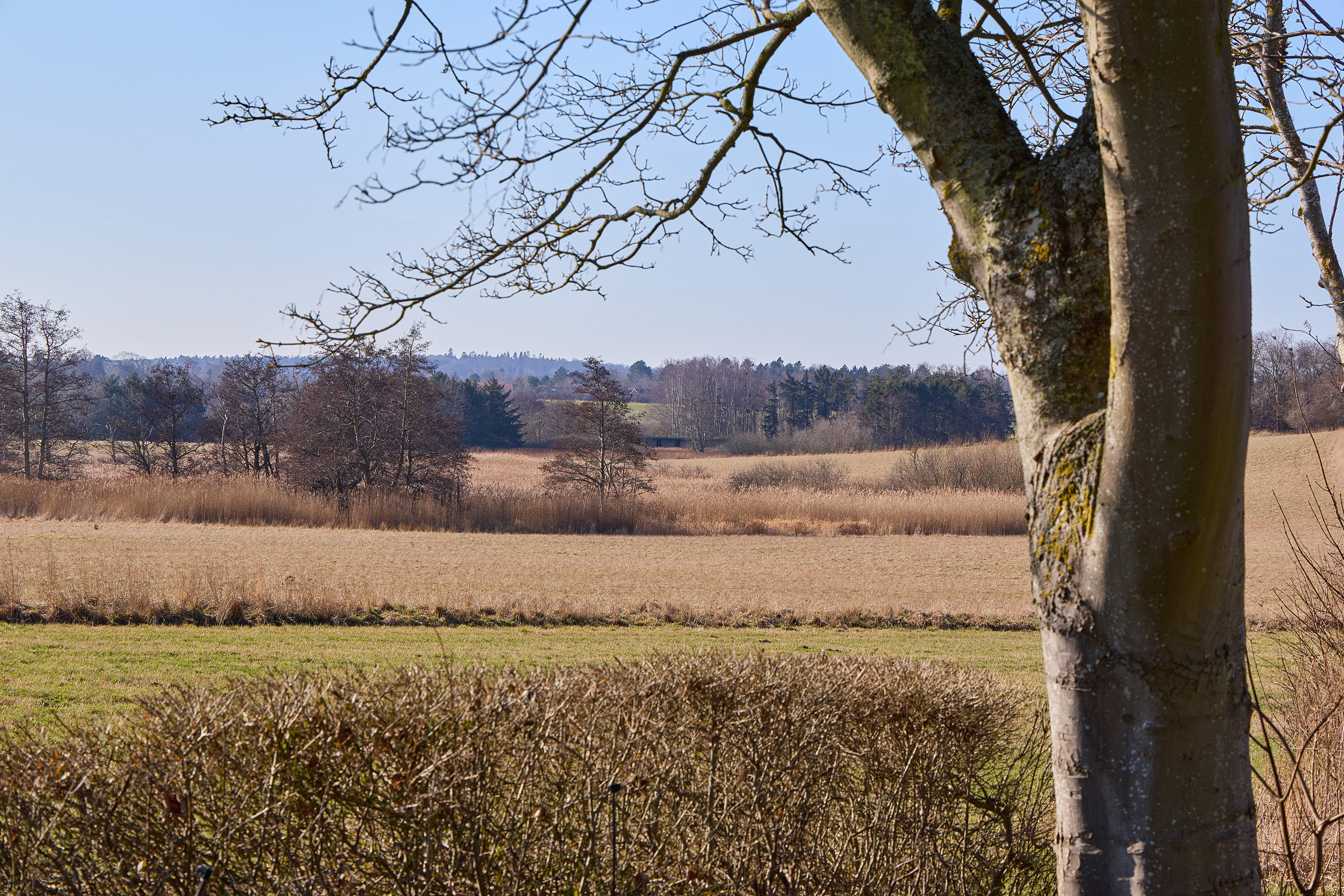 Fremhævet udsigt billede i fuldskærmstilstand. Billede af Lundevangen 17, 3210 Vejby