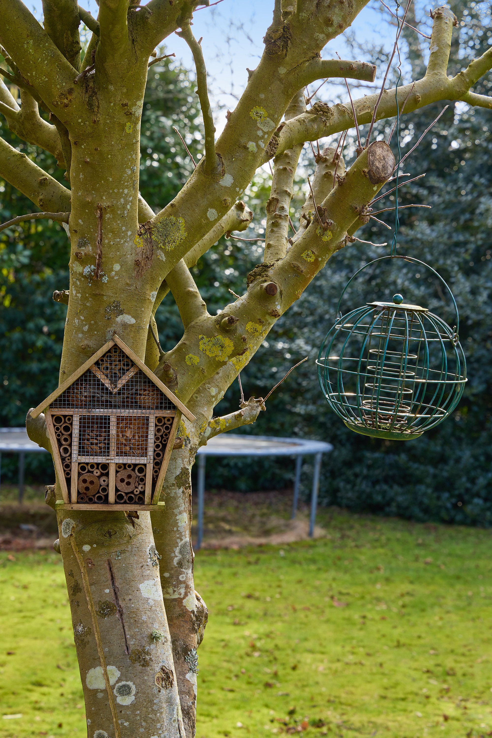 Fremhævet have billede i fuldskærmstilstand. Billede af Stubbevangen 4, Nakkehoved, 3250 Gilleleje