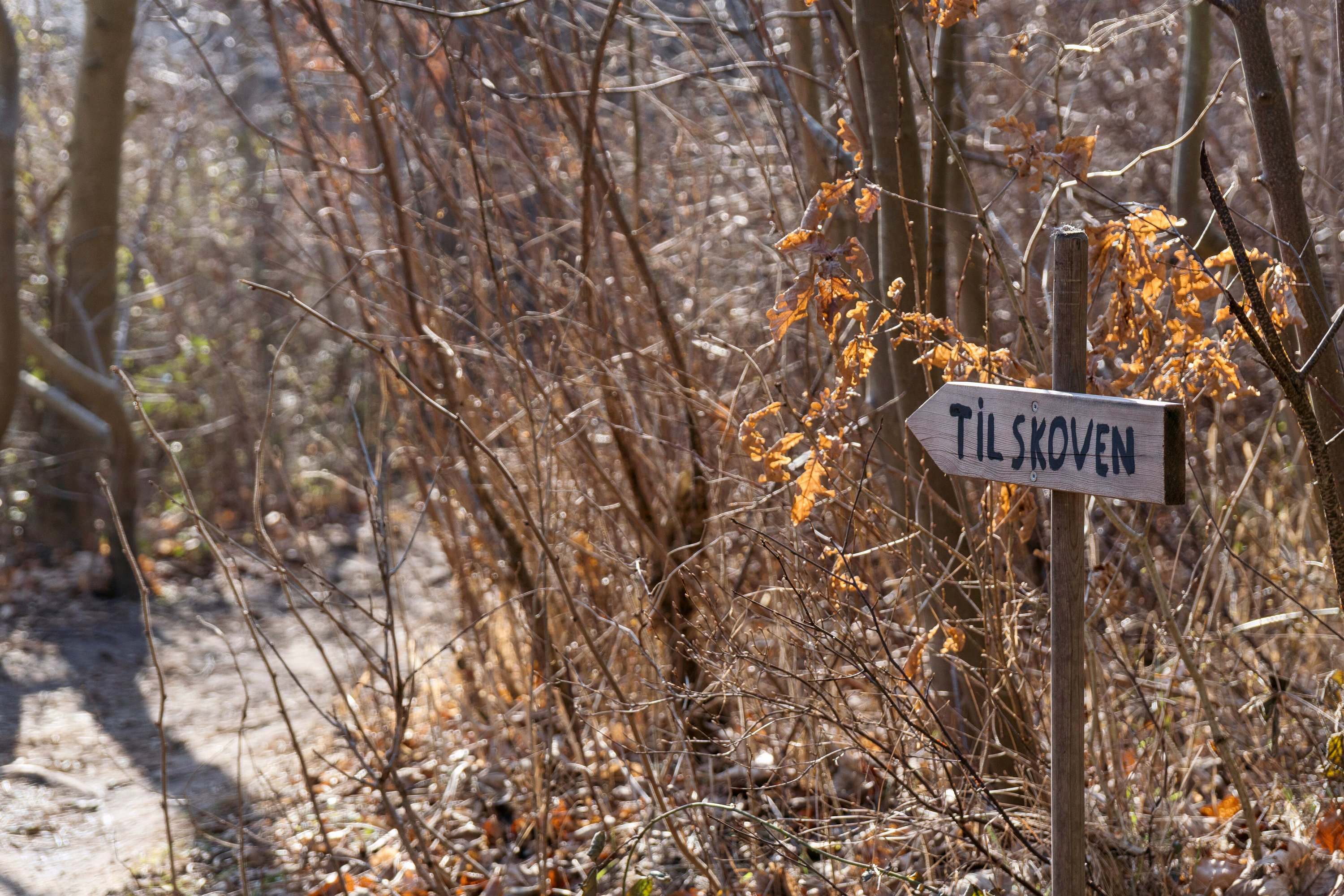 Fremhævet luftfoto billede i fuldskærmstilstand. Billede af Præstekrogen 7, Ordrup, 4540 Fårevejle