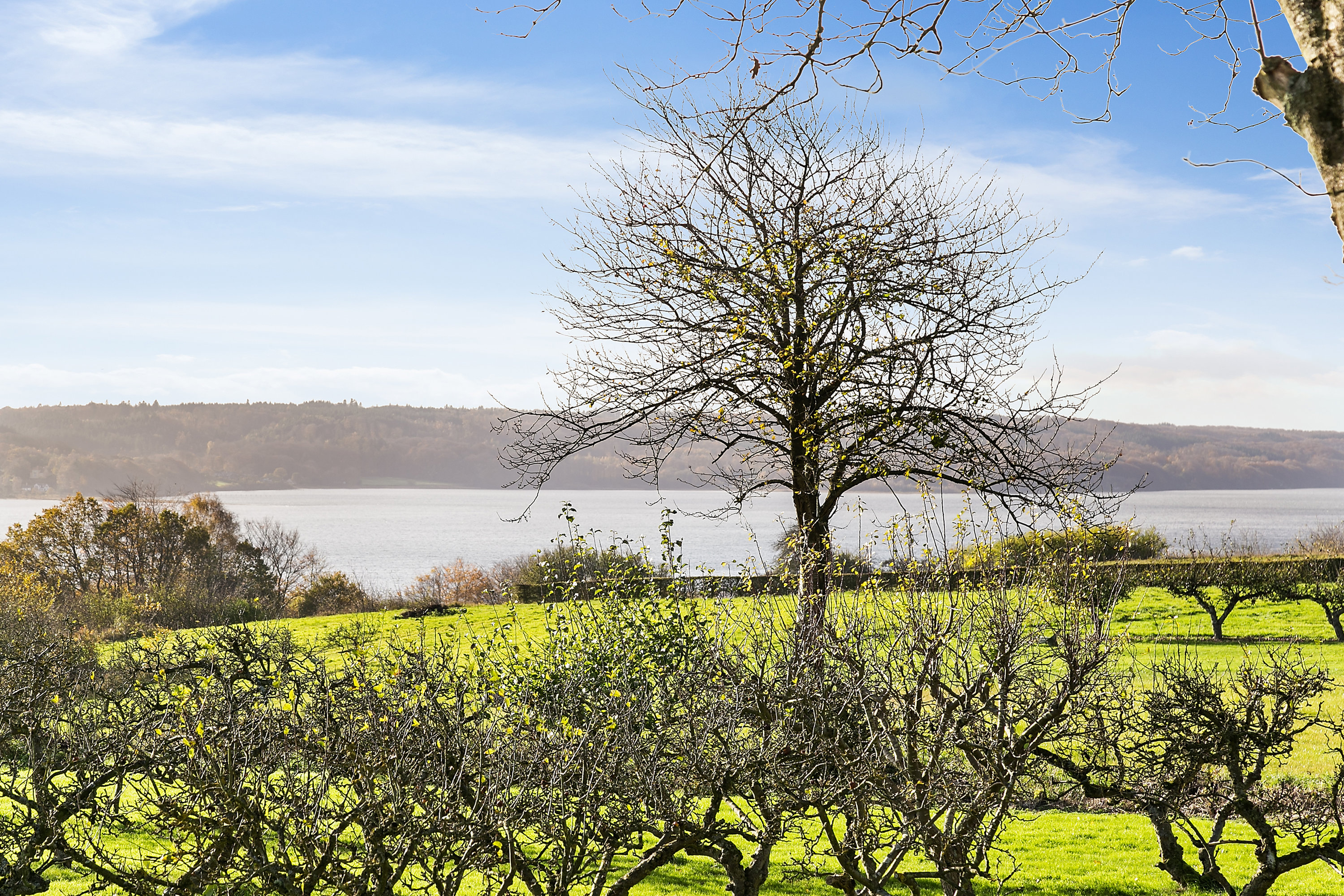 Fremhævet  billede i fuldskærmstilstand. Billede af Stabelhjørnevej 30, 8721 Daugård