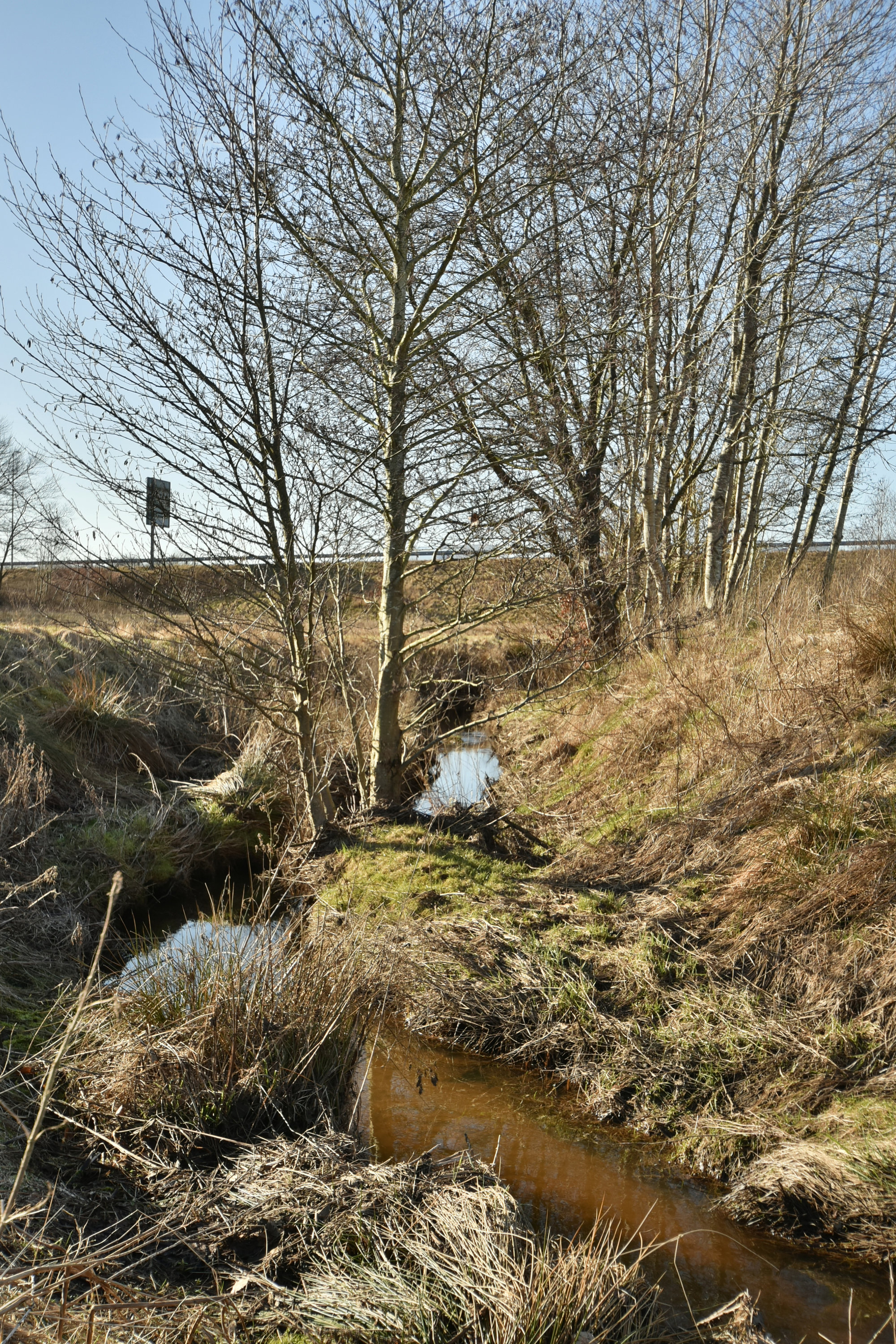 Fremhævet andet billede i fuldskærmstilstand. Billede af Vesterlindvej 38, 7400 Herning