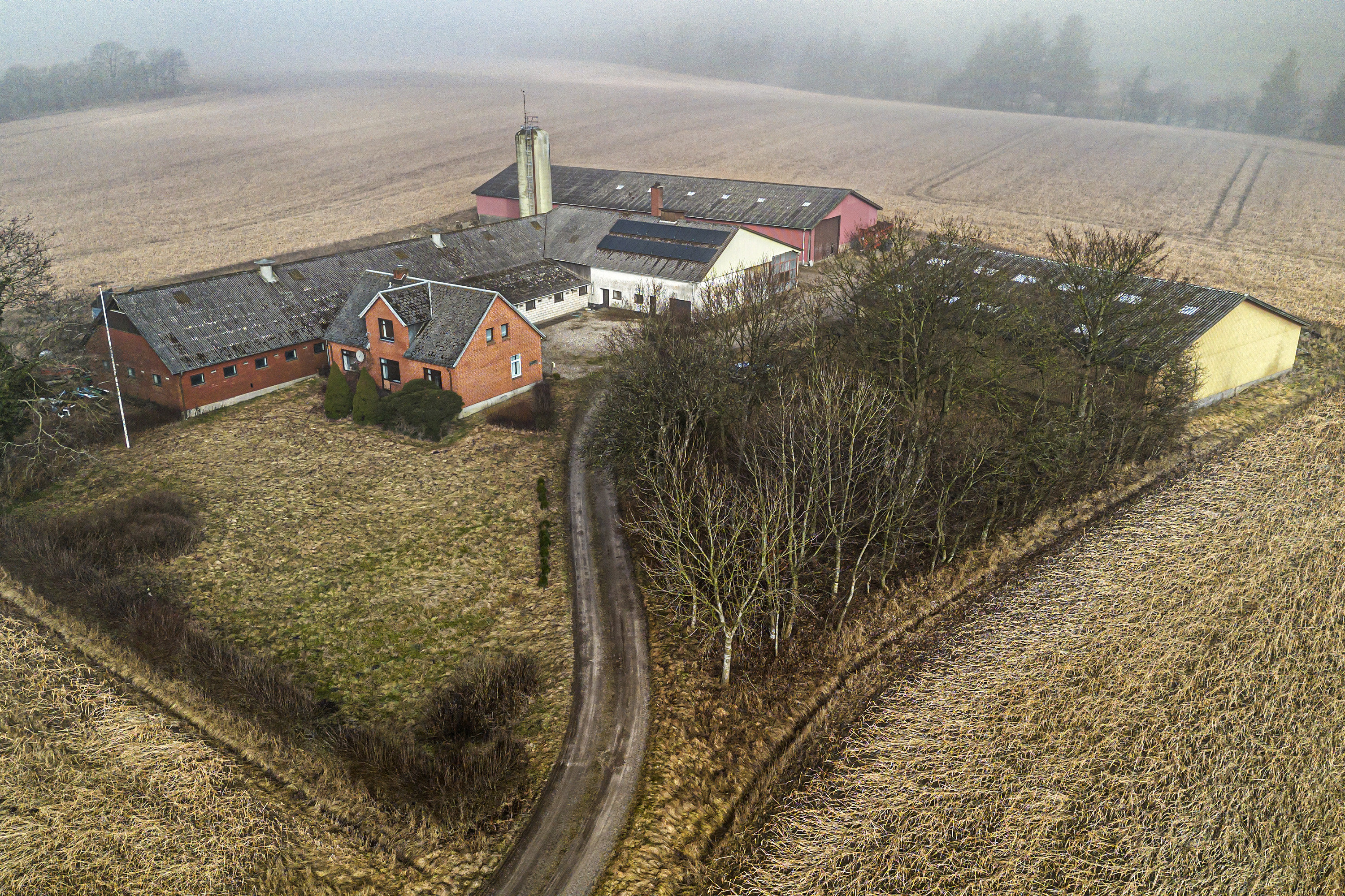 Møllevej 6, Surhave, 6650 Brørup