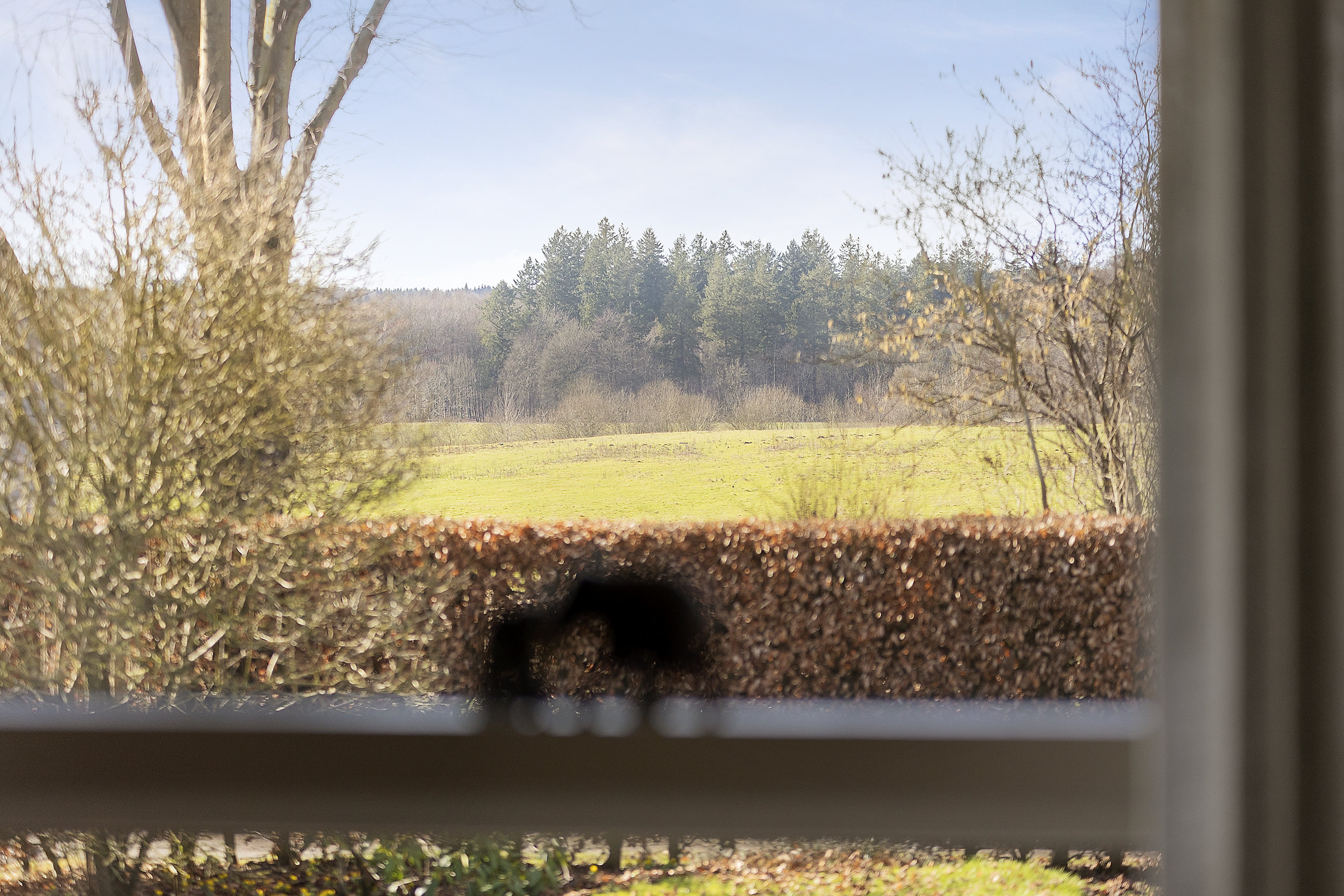 Fremhævet havudsigt billede i fuldskærmstilstand. Billede af Muldvad 23, 6200 Aabenraa