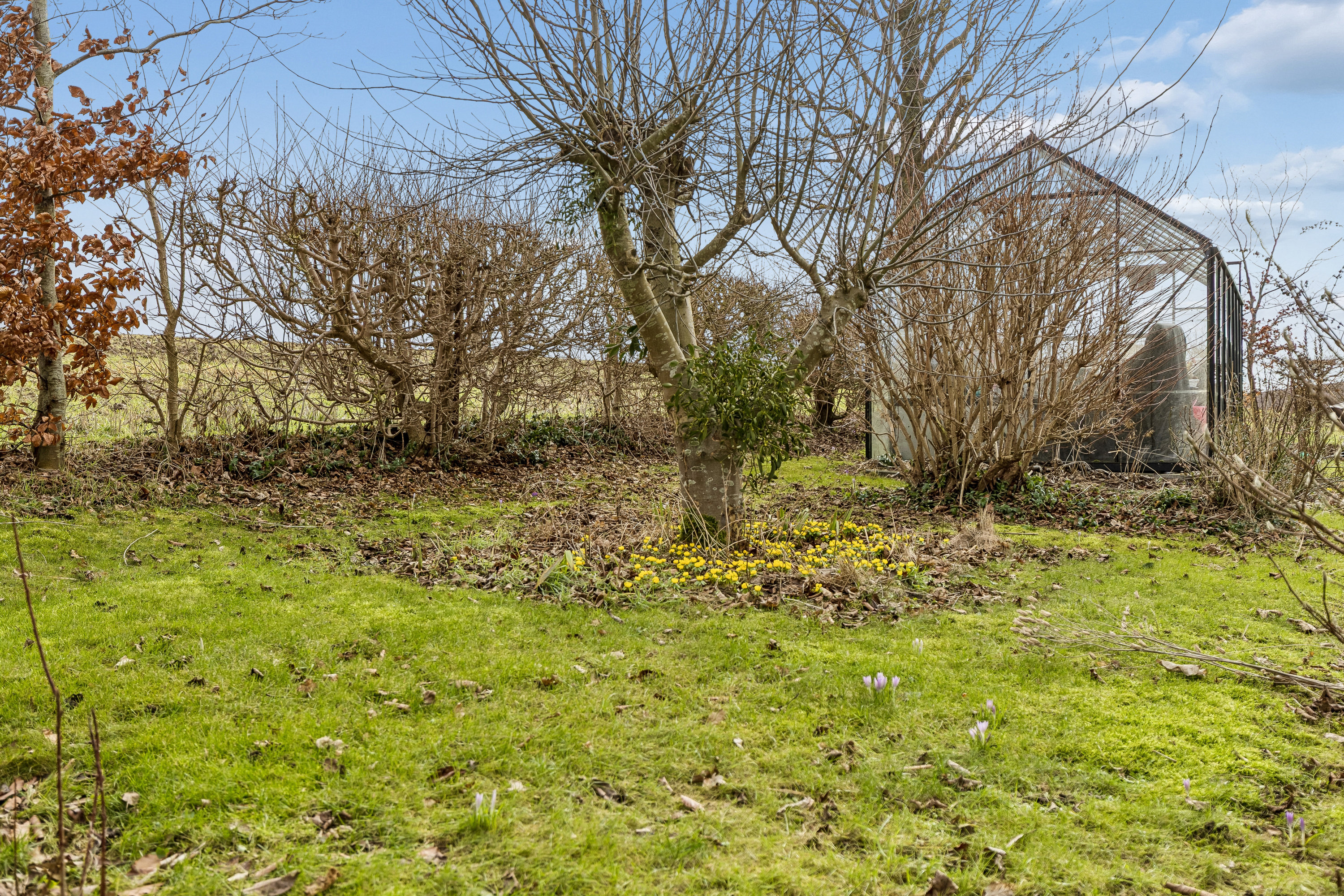 Fremhævet have billede i fuldskærmstilstand. Billede af Brøndbjergvej 3, 4591 Føllenslev