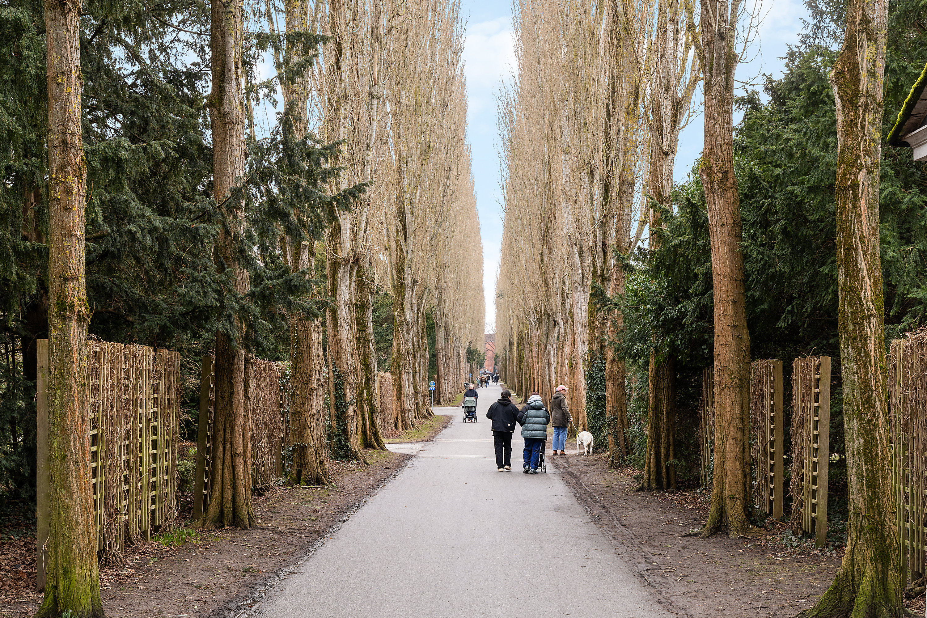 Fremhævet omgivelser billede i fuldskærmstilstand. Billede af Bjelkes Allé 12, 1. 3., 2200 København N