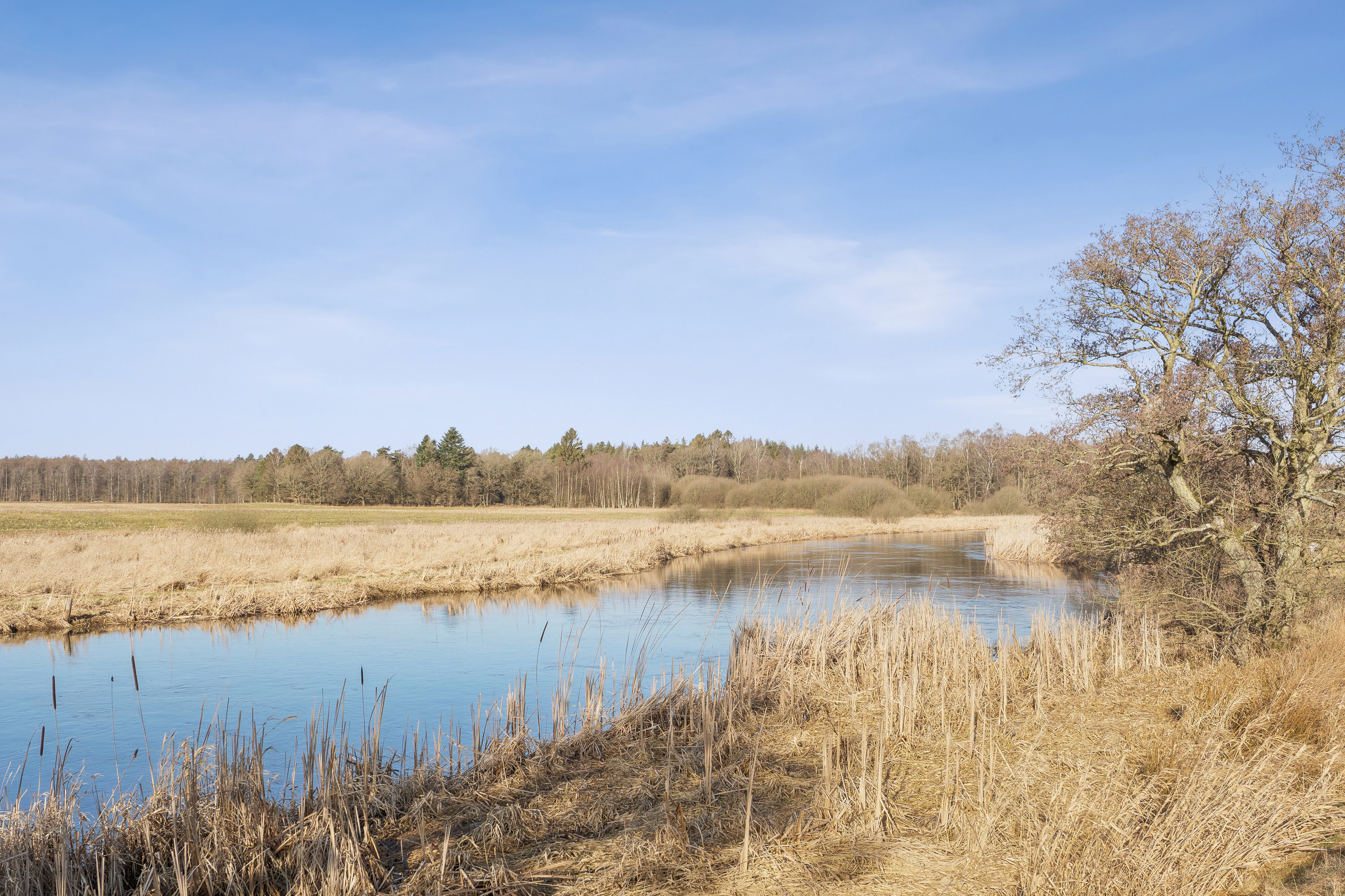 Fremhævet udsigt billede i fuldskærmstilstand. Billede af Sørkelvej 44B, Truust, 8882 Fårvang