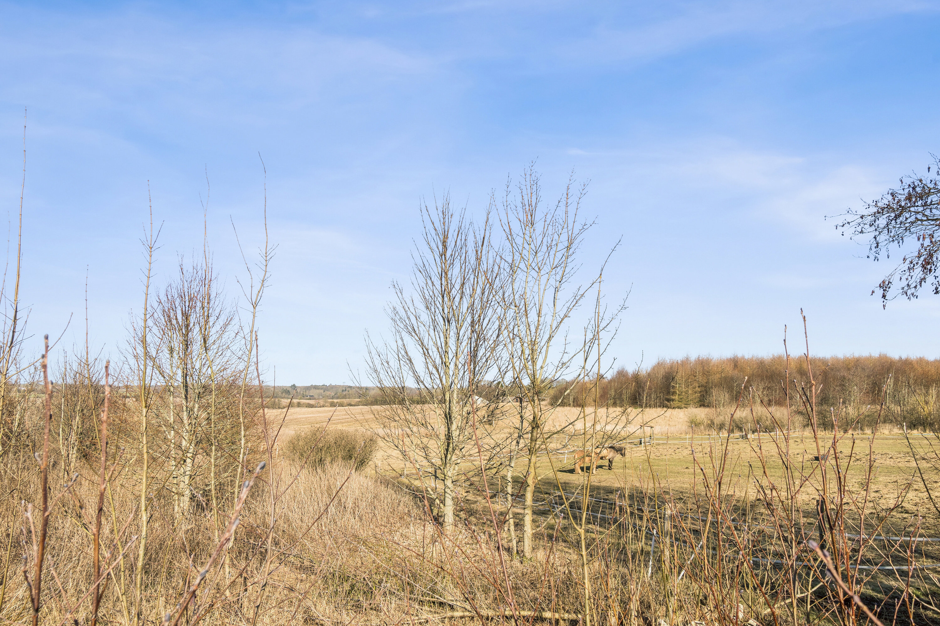 Fremhævet udendørs billede i fuldskærmstilstand. Billede af Tisetvej 11, Tiset, 8355 Solbjerg