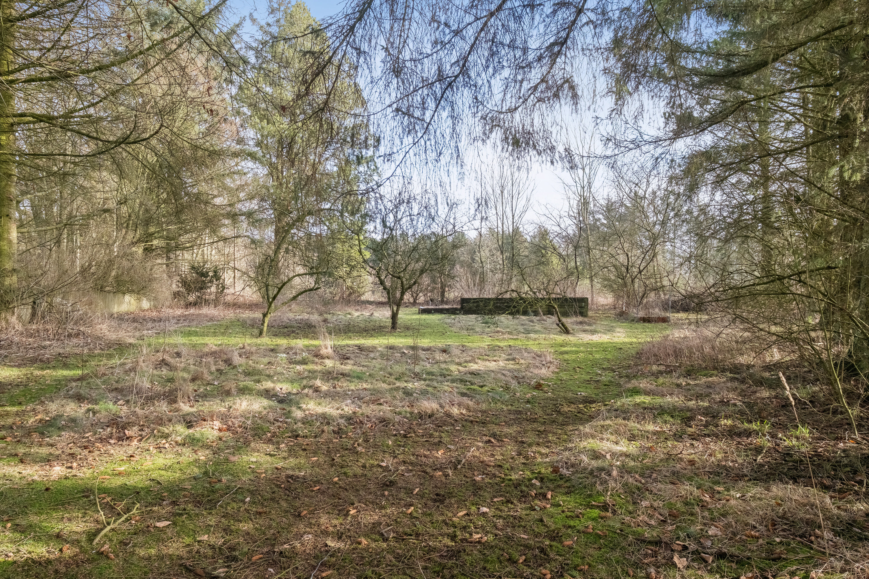 Fremhævet udendørs billede i fuldskærmstilstand. Billede af Bøgholtvej 3, Sønderskov, 9800 Hjørring