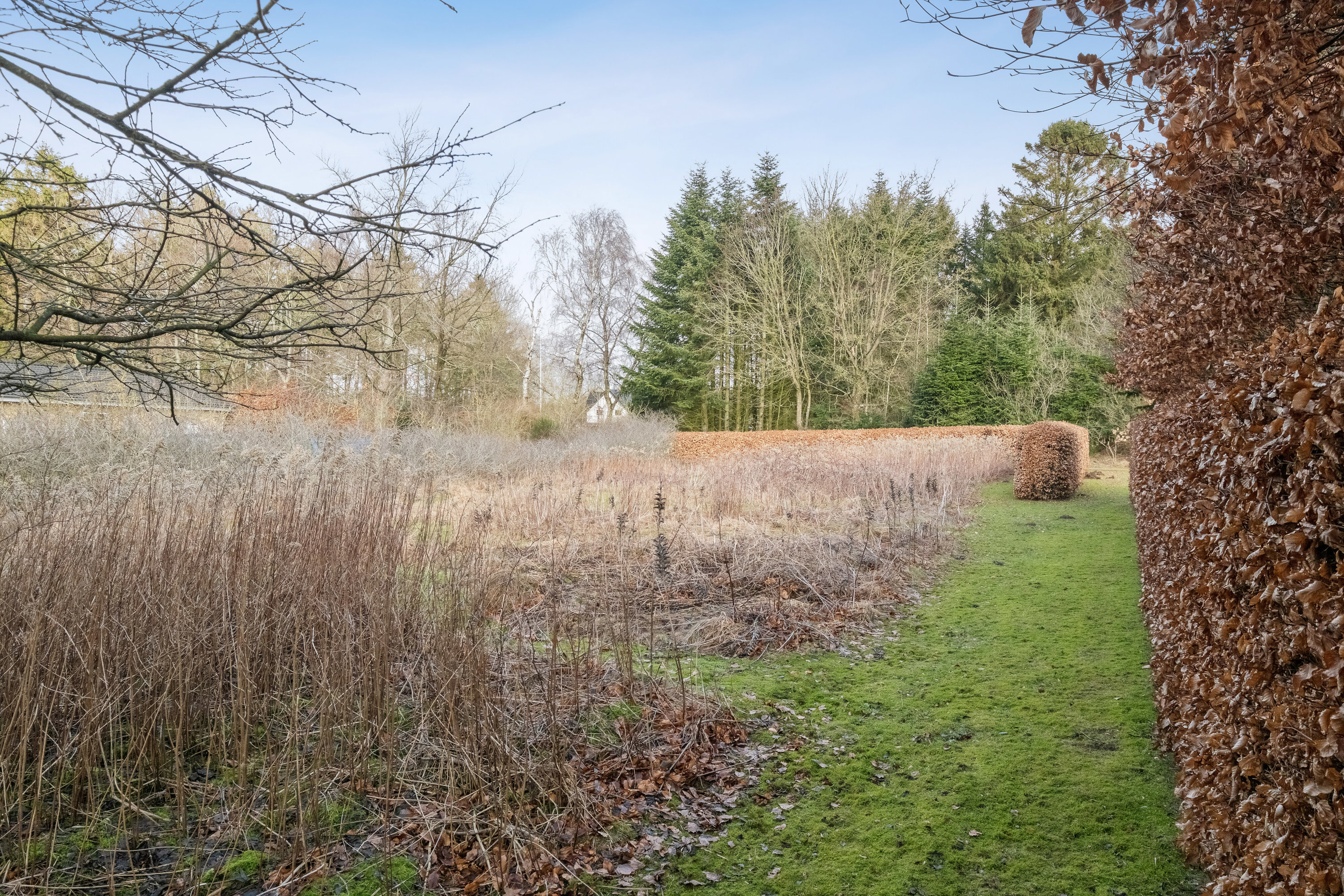 Fremhævet udendørs billede i fuldskærmstilstand. Billede af Bøgholtvej 3, Sønderskov, 9800 Hjørring