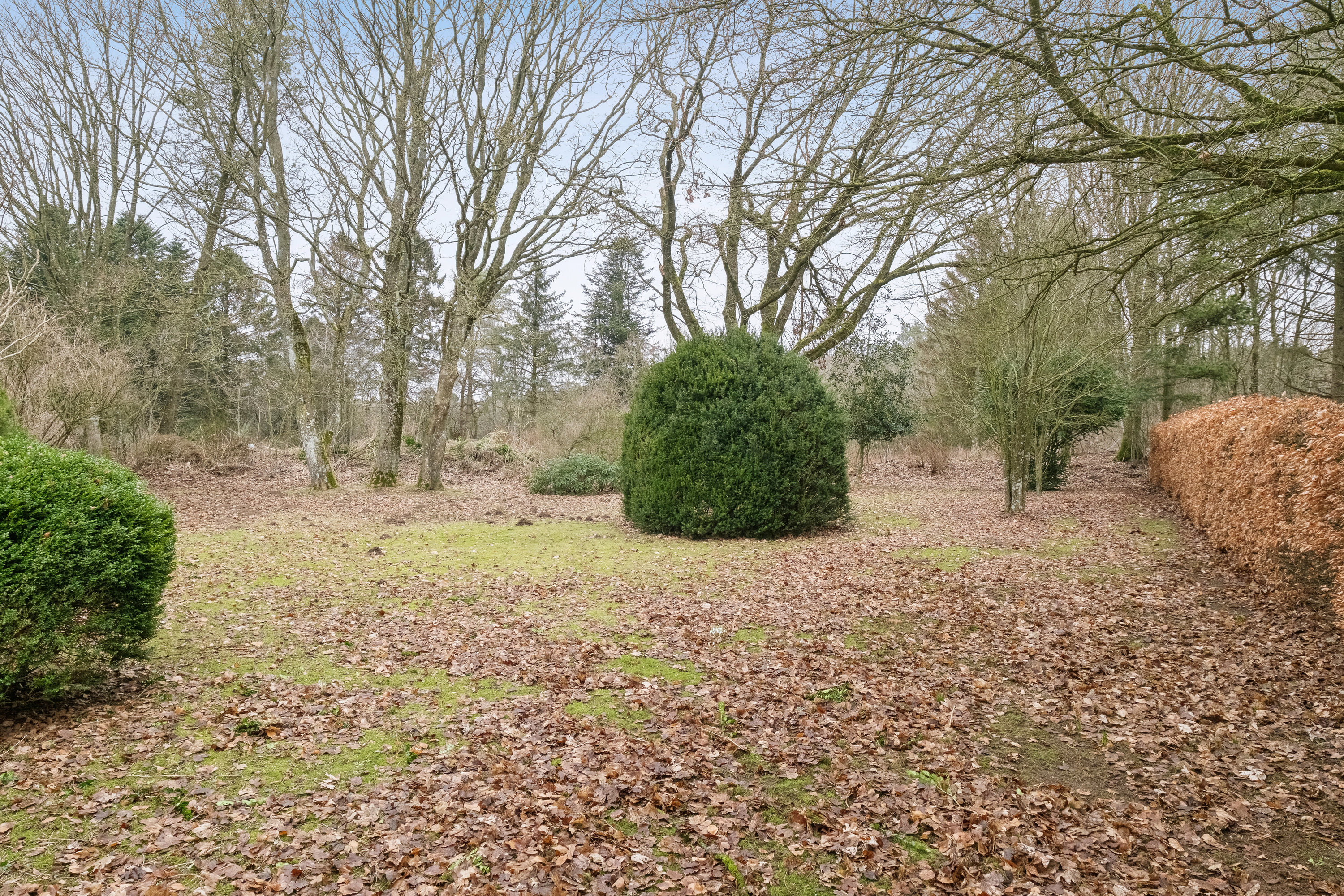 Fremhævet set fra haven billede i fuldskærmstilstand. Billede af Bøgholtvej 3, Sønderskov, 9800 Hjørring