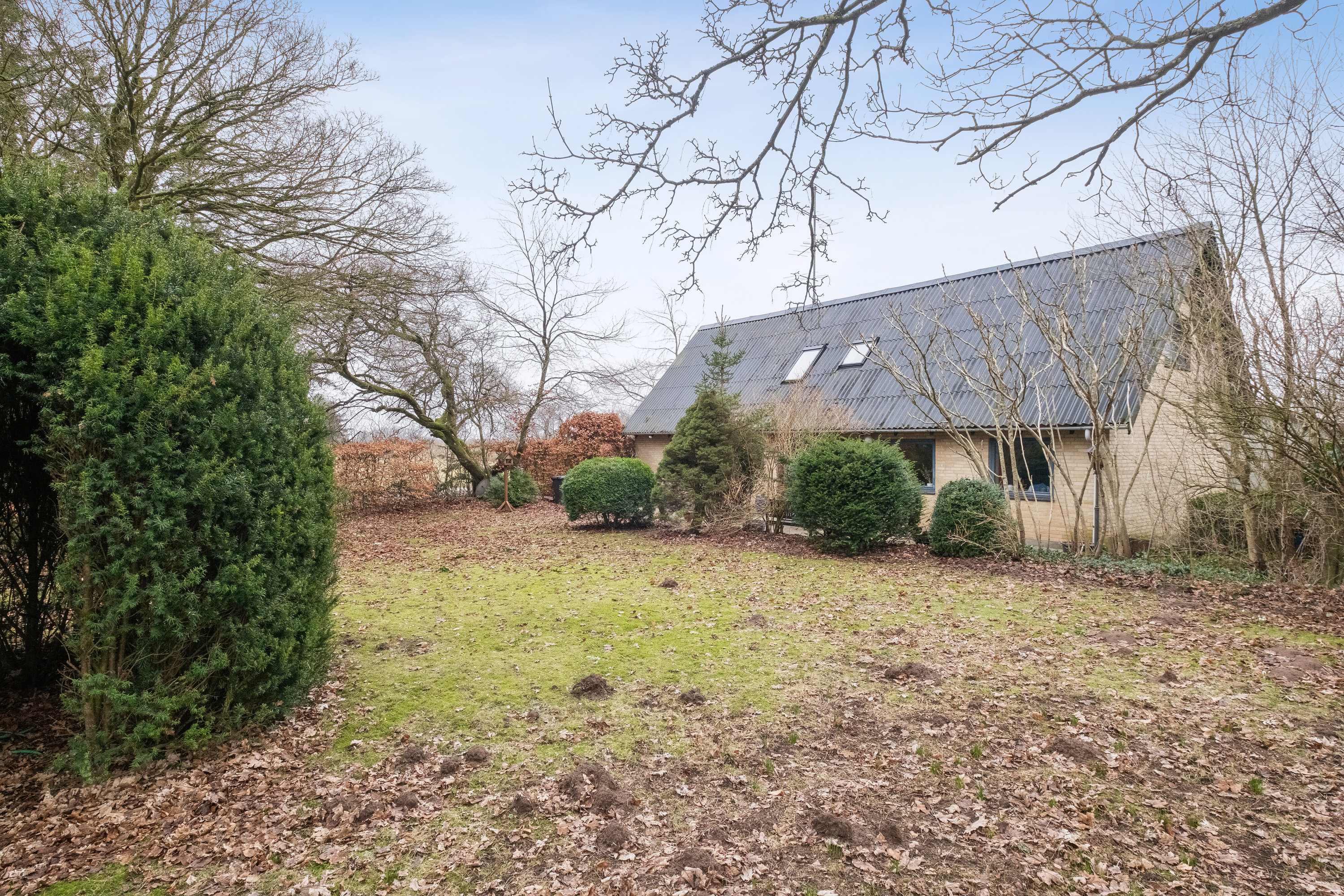 Fremhævet set fra haven billede i fuldskærmstilstand. Billede af Bøgholtvej 3, Sønderskov, 9800 Hjørring