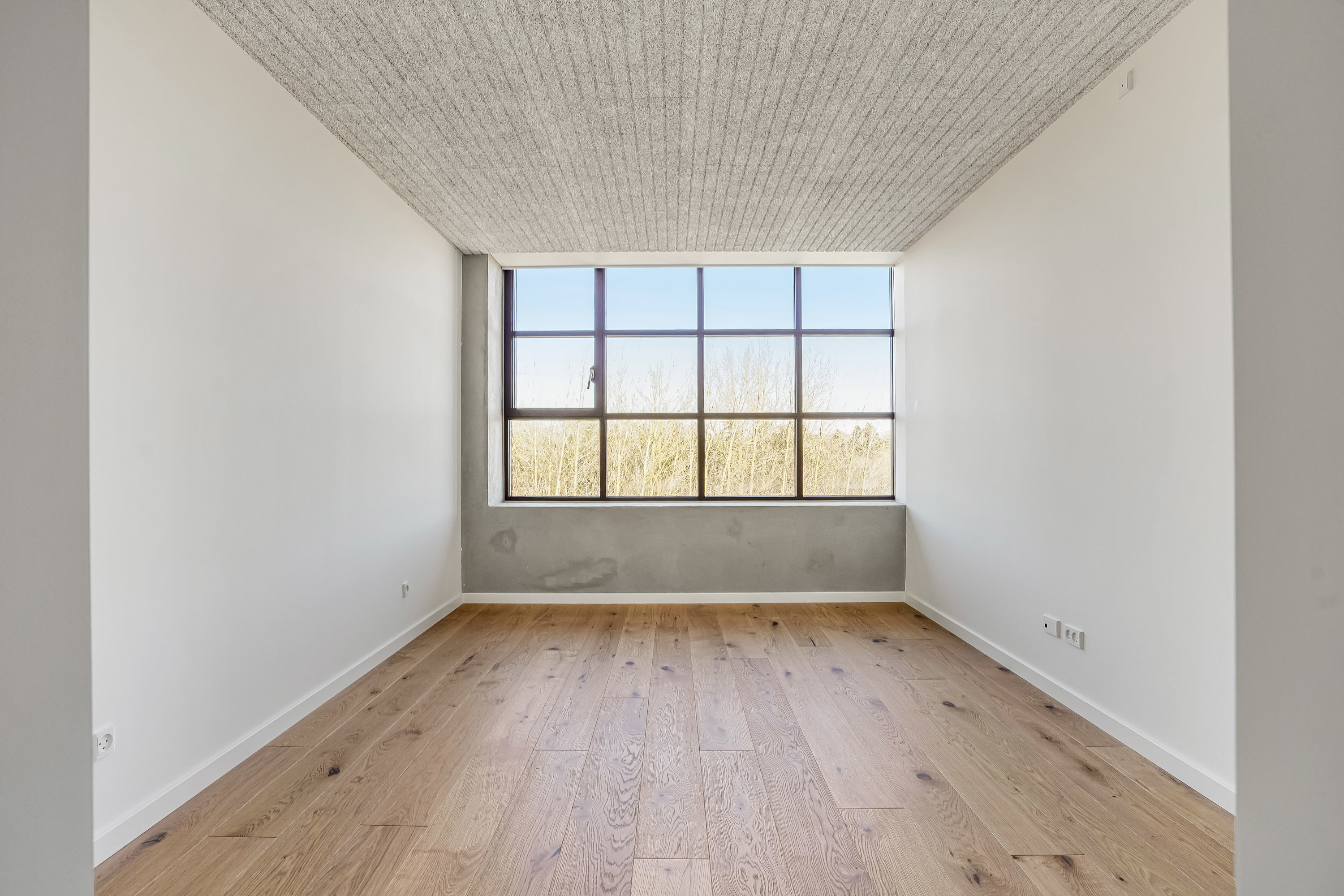 Fremhævet værelse billede i fuldskærmstilstand. Billede af Hollænderen 14, 3. 5., Dalum, 5250 Odense SV