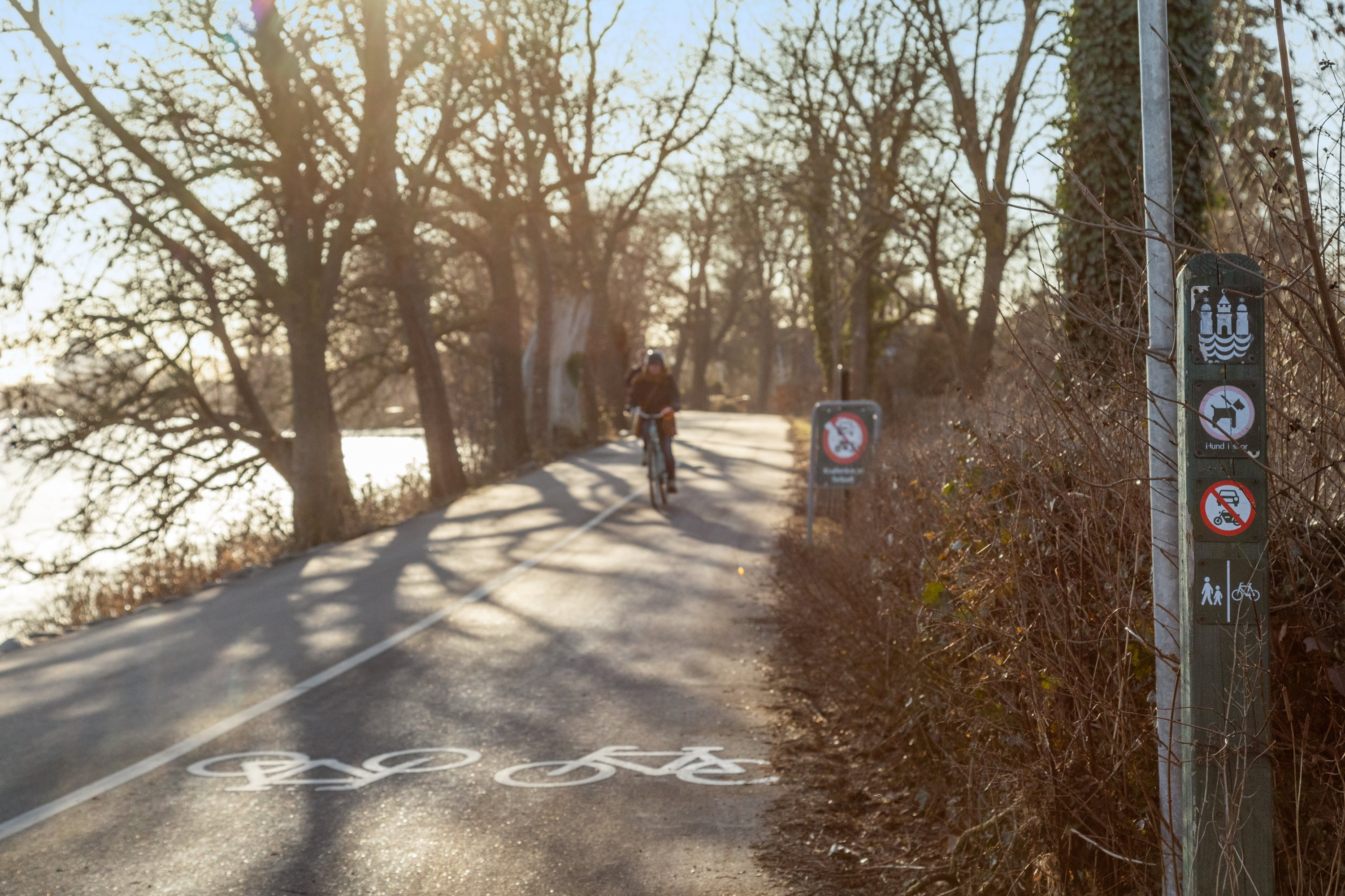 Fremhævet have billede i fuldskærmstilstand. Billede af Ålekistevej 34, st.. 1., 2720 Vanløse